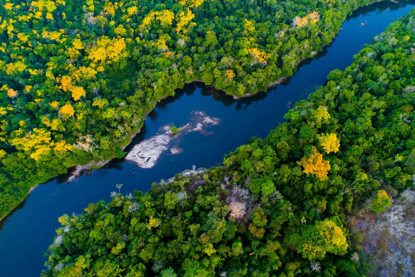 Eco travel | eco hotel | birdwatching | luxury hotel ecuador | | adventure hotel | landscape hotel | nature hotel | nature destination | room and wild | The Amazon | Brazil Hotels | Cristalino Lodge