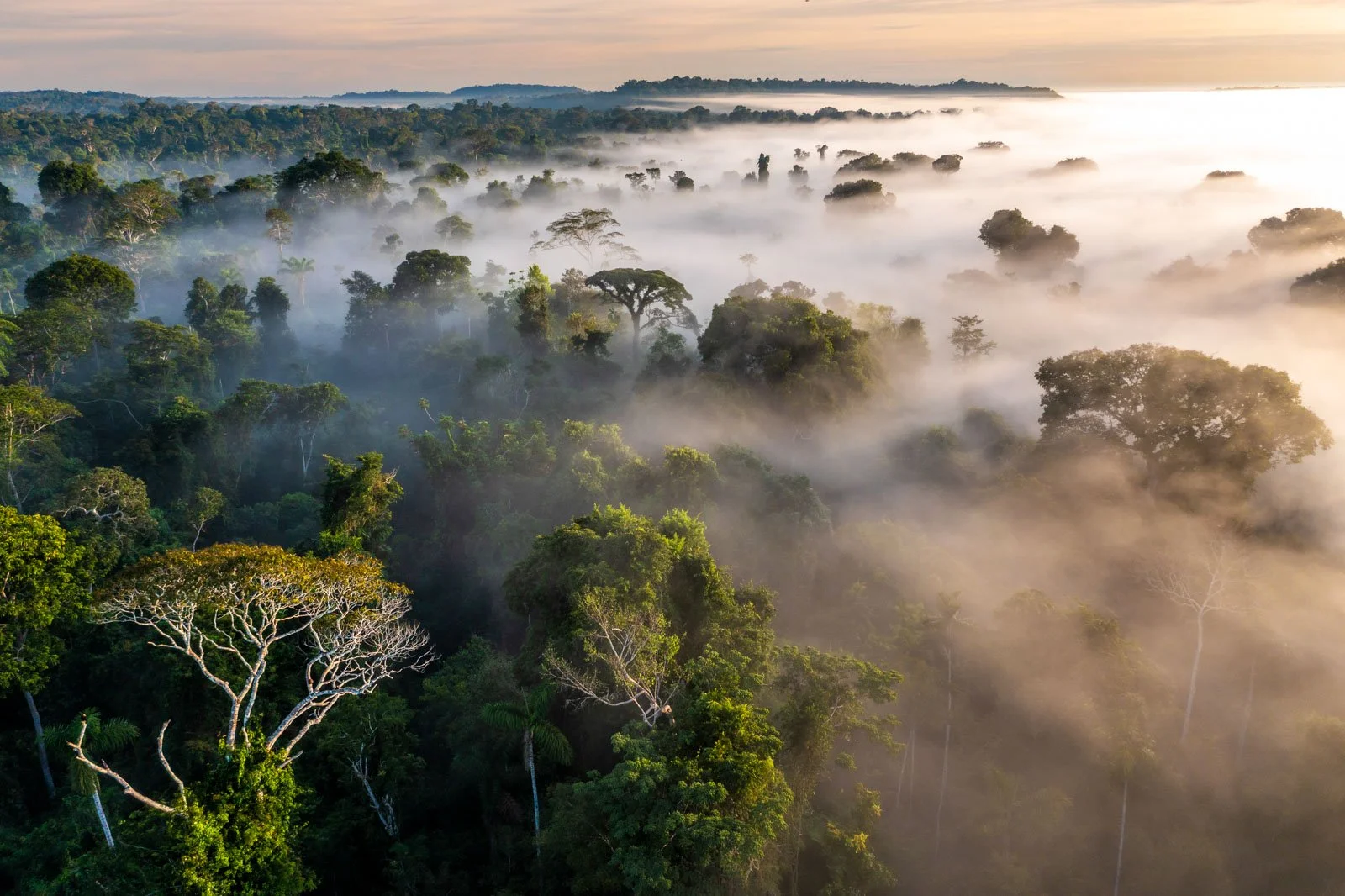 Eco travel | eco hotel | birdwatching | luxury hotel ecuador | | adventure hotel | landscape hotel | nature hotel | nature destination | room and wild | The Amazon | Brazil Hotels | Cristalino Lodge