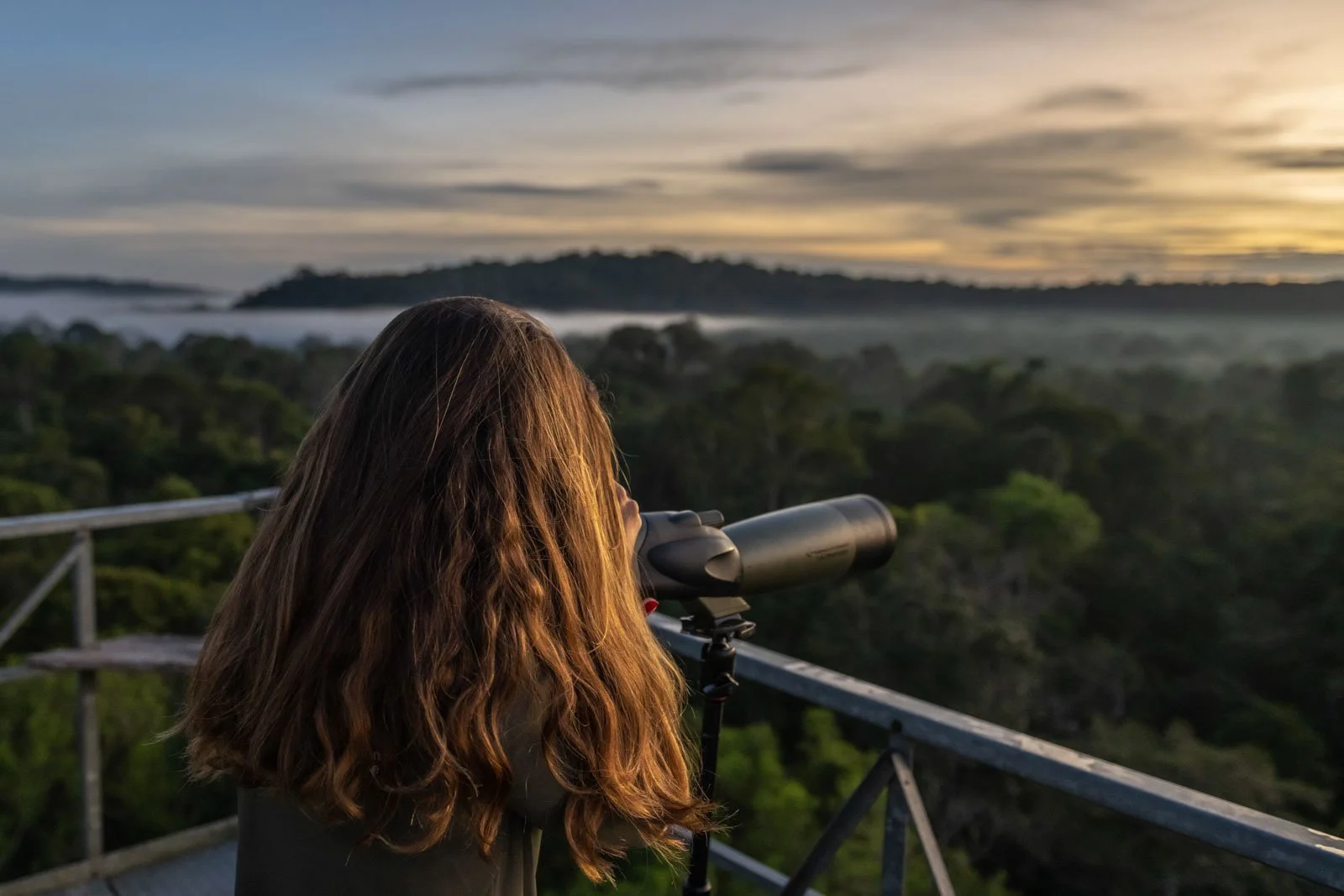 Eco travel | eco hotel | birdwatching | luxury hotel ecuador | | adventure hotel | landscape hotel | nature hotel | nature destination | room and wild | The Amazon | Brazil Hotels | Cristalino Lodge