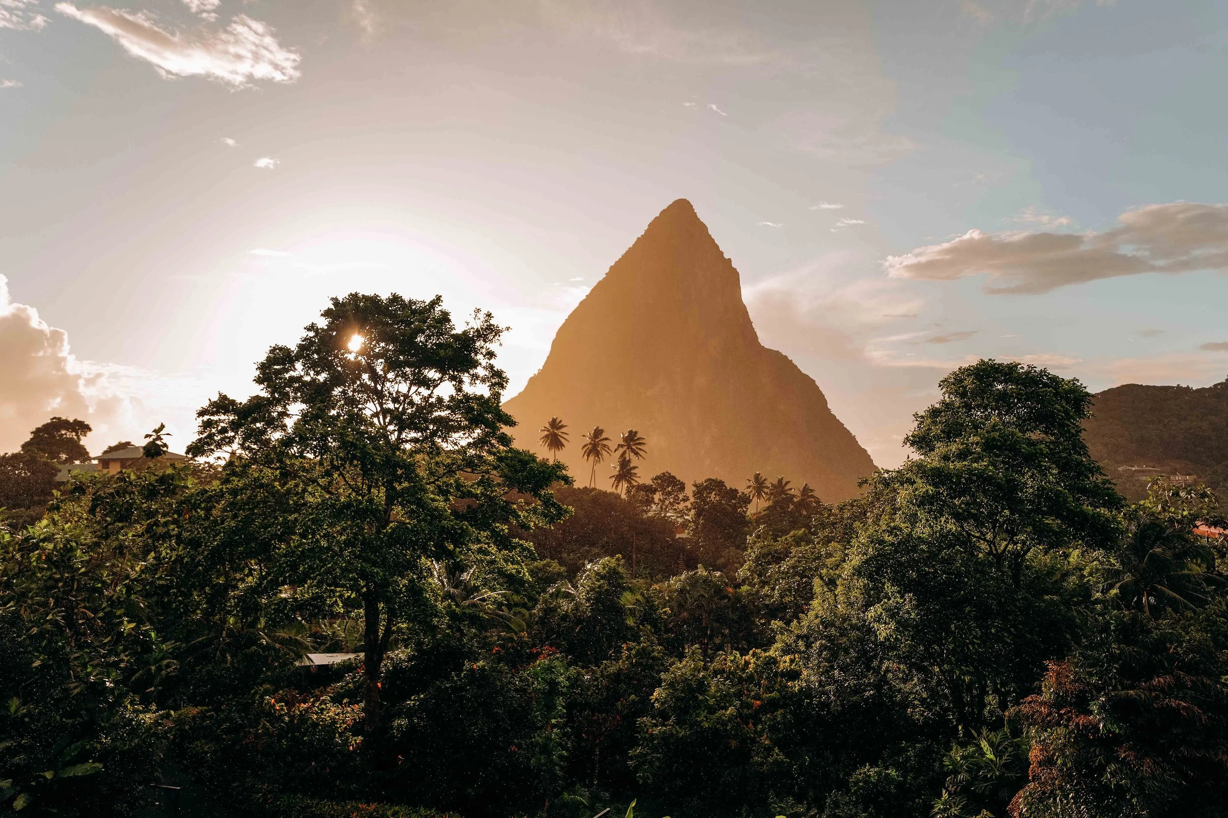 Eco travel | eco hotel | caribbean hotel | luxury hotel st lucia | | landscape hotel | nature hotel | nature destination | room and wild | Saint Lucia | Rabot Hotel, Hotel Chocolat