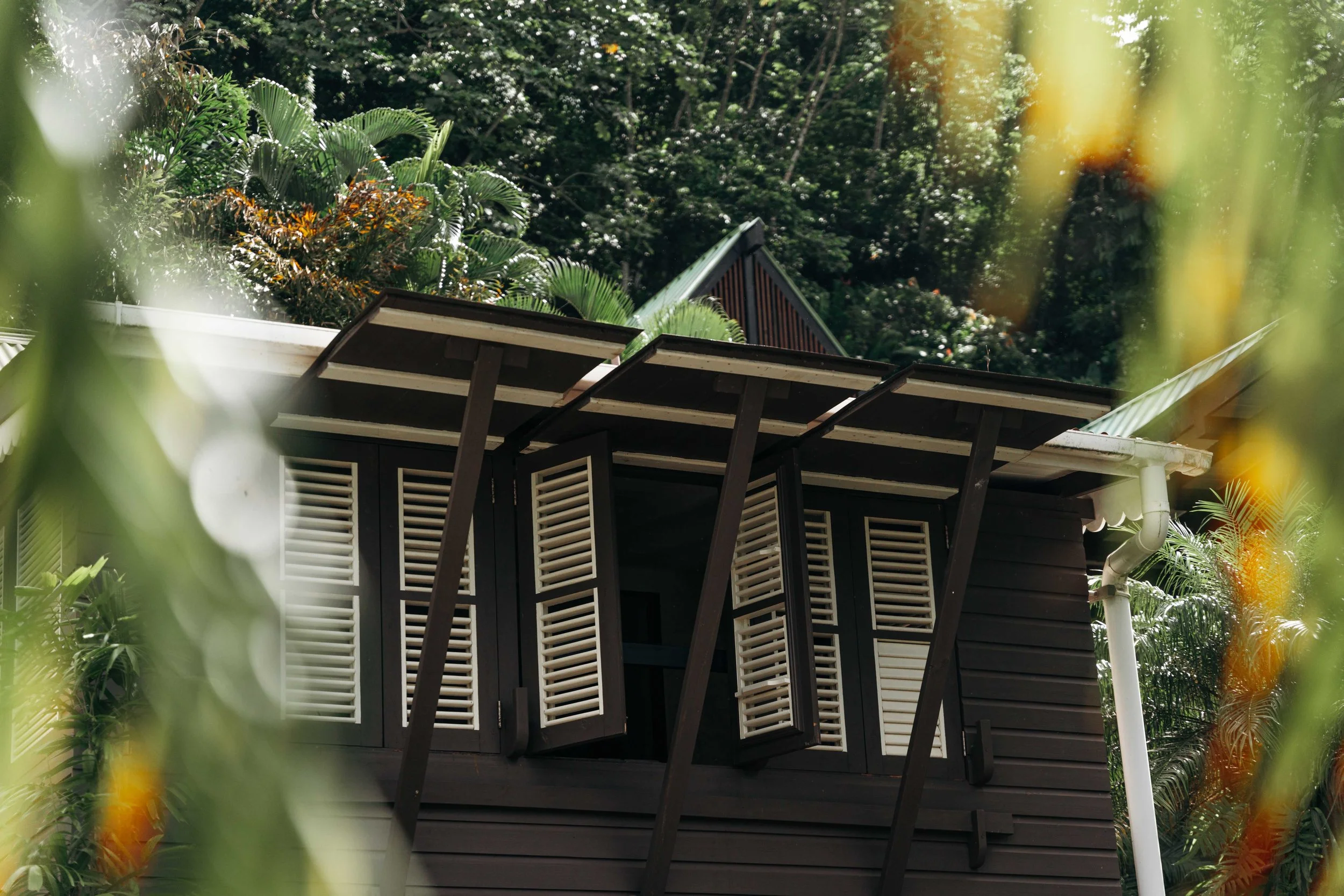Eco travel | eco hotel | caribbean hotel | luxury hotel st lucia | | landscape hotel | nature hotel | nature destination | room and wild | Saint Lucia | Rabot Hotel, Hotel Chocolat