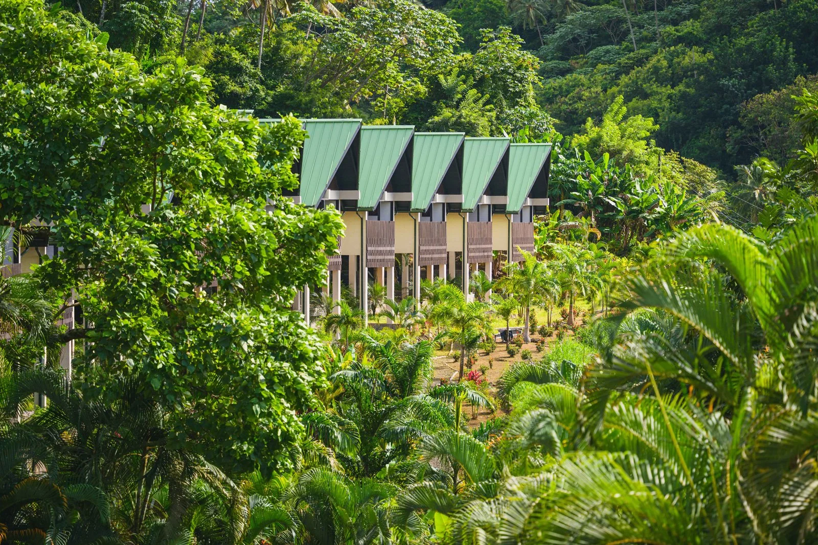 Eco travel | eco hotel | caribbean hotel | luxury hotel st lucia | | landscape hotel | nature hotel | nature destination | room and wild | Saint Lucia | Rabot Hotel, Hotel Chocolat