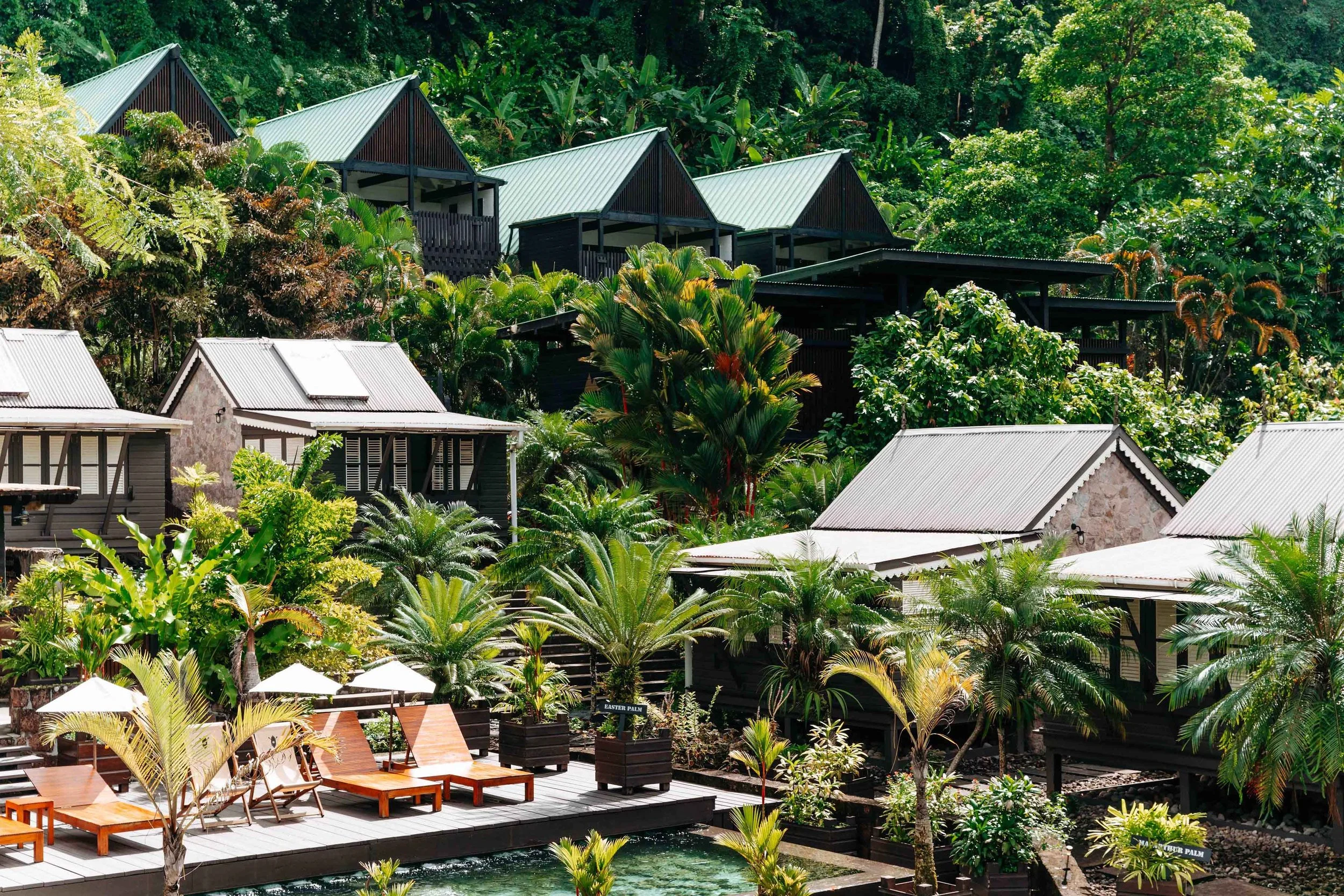 Eco travel | eco hotel | caribbean hotel | luxury hotel st lucia | | landscape hotel | nature hotel | nature destination | room and wild | Saint Lucia | Rabot Hotel, Hotel Chocolat