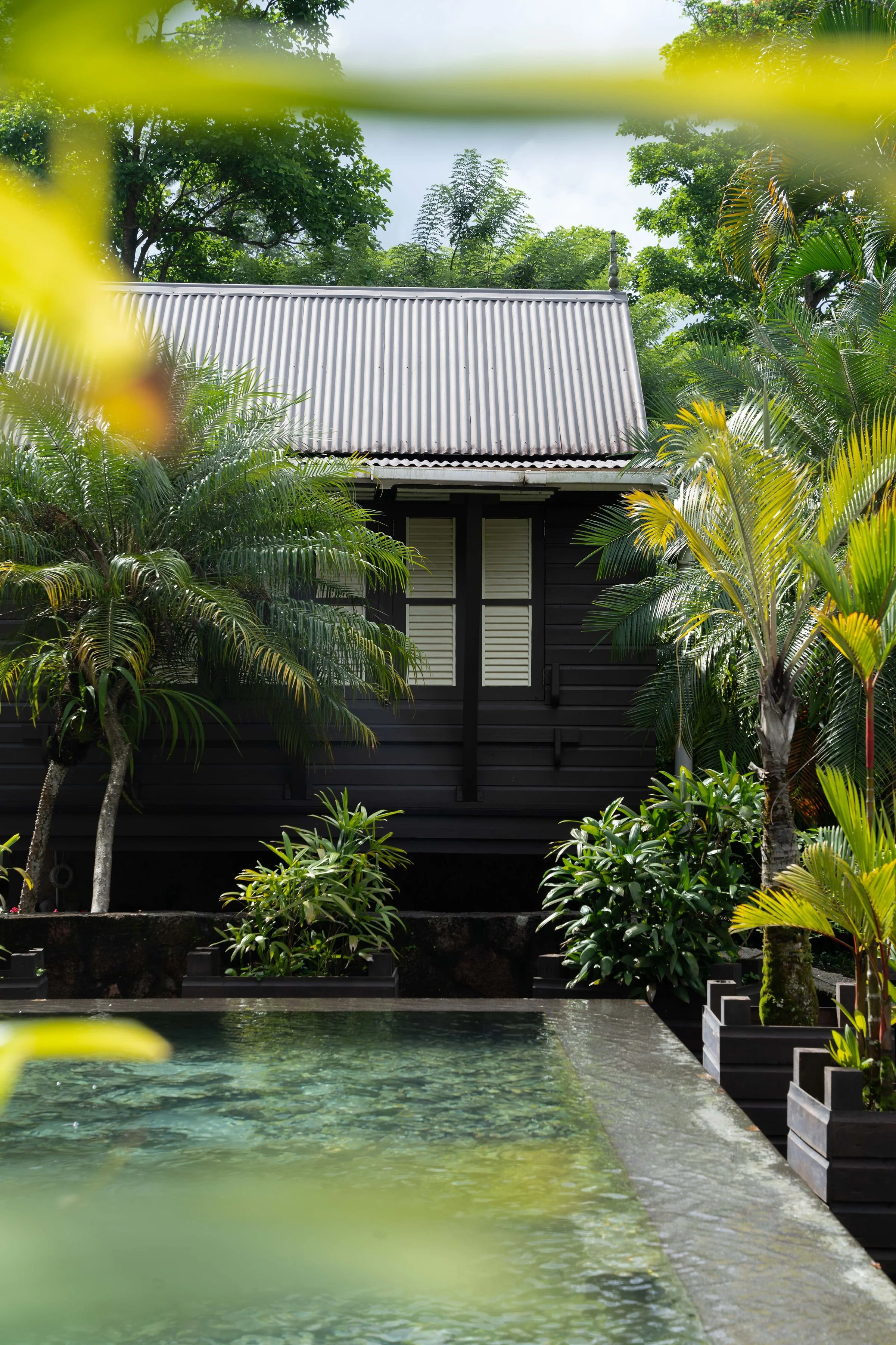 Eco travel | eco hotel | caribbean hotel | luxury hotel st lucia | | landscape hotel | nature hotel | nature destination | room and wild | Saint Lucia | Rabot Hotel, Hotel Chocolat