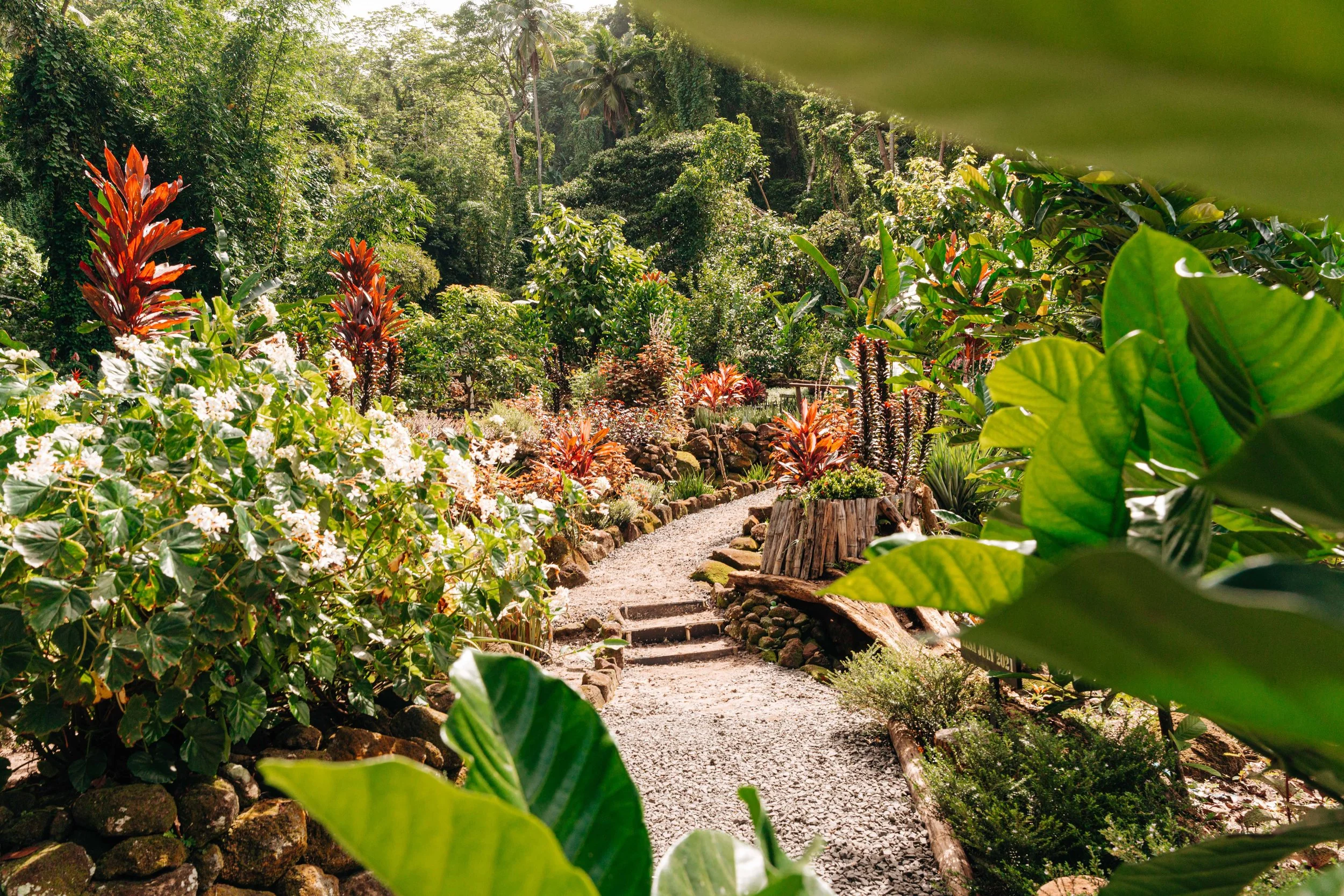 Eco travel | eco hotel | caribbean hotel | luxury hotel st lucia | | landscape hotel | nature hotel | nature destination | room and wild | Saint Lucia | Rabot Hotel, Hotel Chocolat
