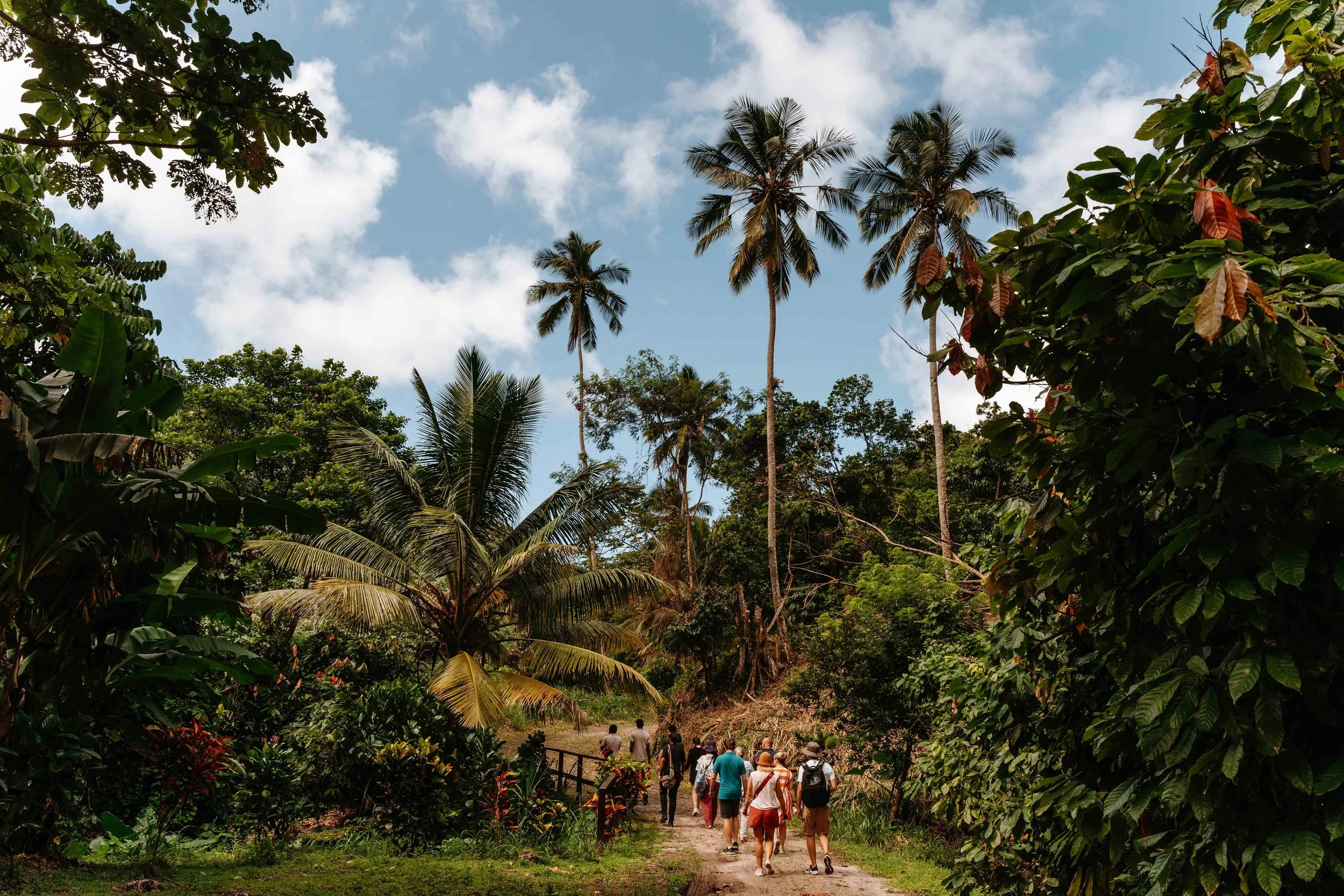Eco travel | eco hotel | caribbean hotel | luxury hotel st lucia | | landscape hotel | nature hotel | nature destination | room and wild | Saint Lucia | Rabot Hotel, Hotel Chocolat