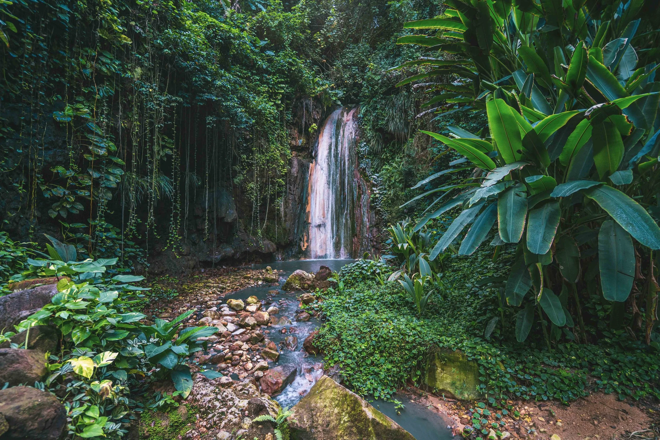 Eco travel | eco hotel | caribbean hotel | luxury hotel st lucia | | landscape hotel | nature hotel | nature destination | room and wild | Saint Lucia | Rabot Hotel, Hotel Chocolat