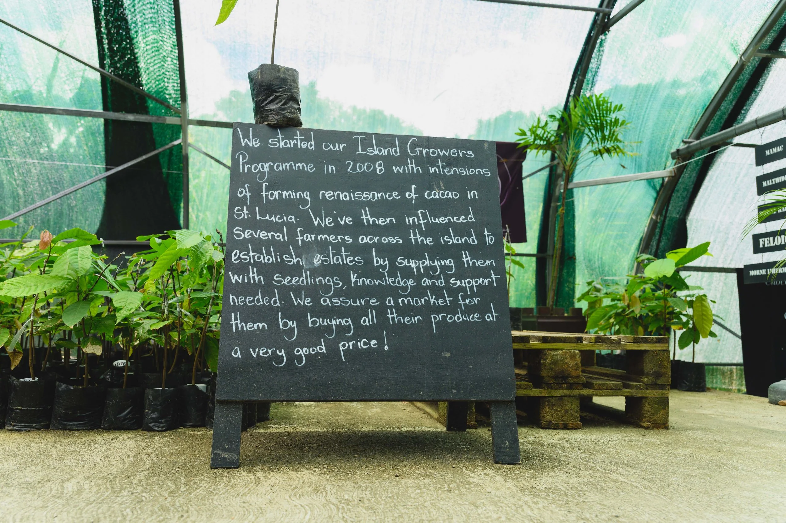 Eco travel | eco hotel | caribbean hotel | luxury hotel st lucia | | landscape hotel | nature hotel | nature destination | room and wild | Saint Lucia | Rabot Hotel, Hotel Chocolat