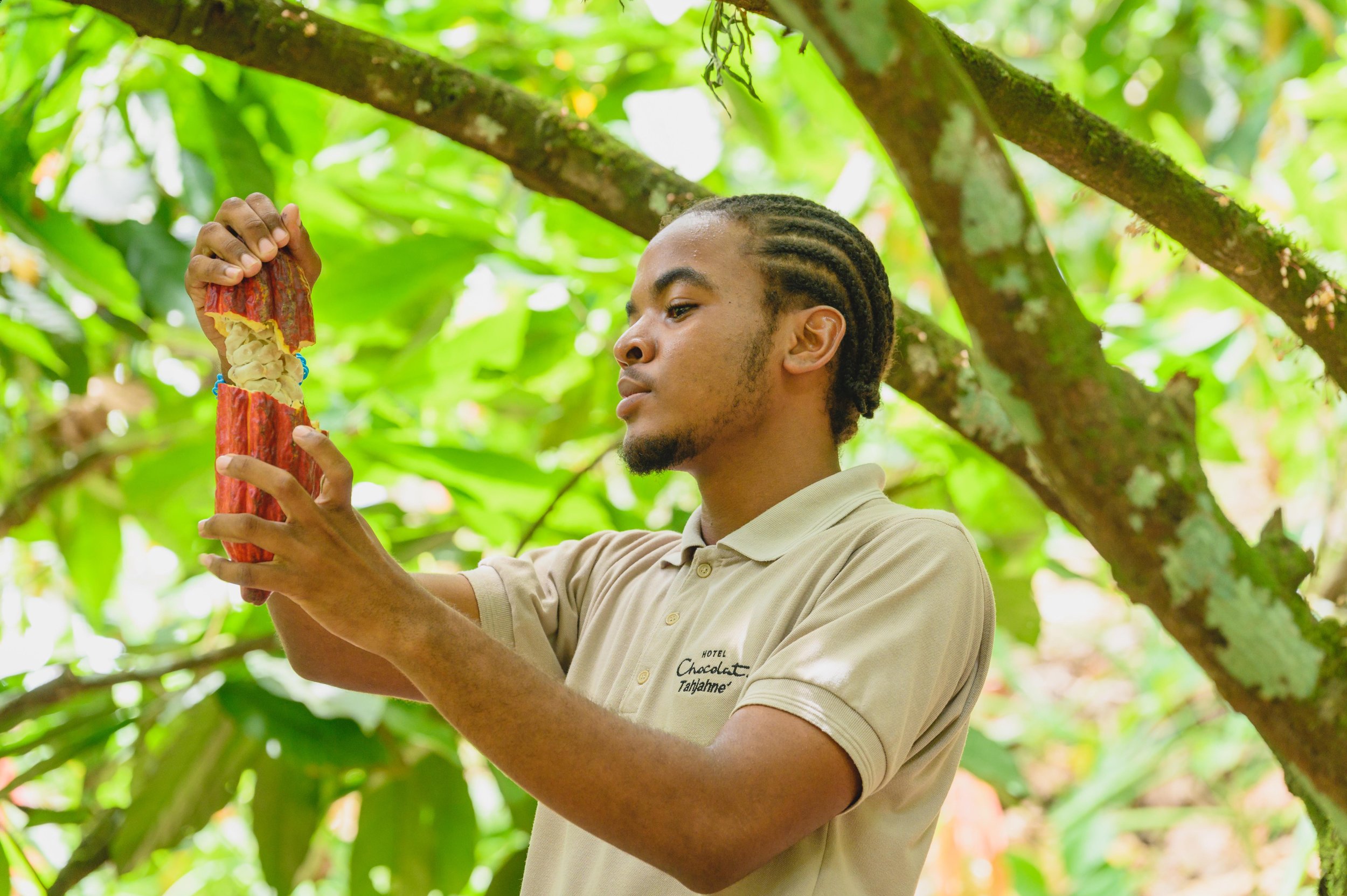 Eco travel | eco hotel | caribbean hotel | luxury hotel st lucia | | landscape hotel | nature hotel | nature destination | room and wild | Saint Lucia | Rabot Hotel, Hotel Chocolat