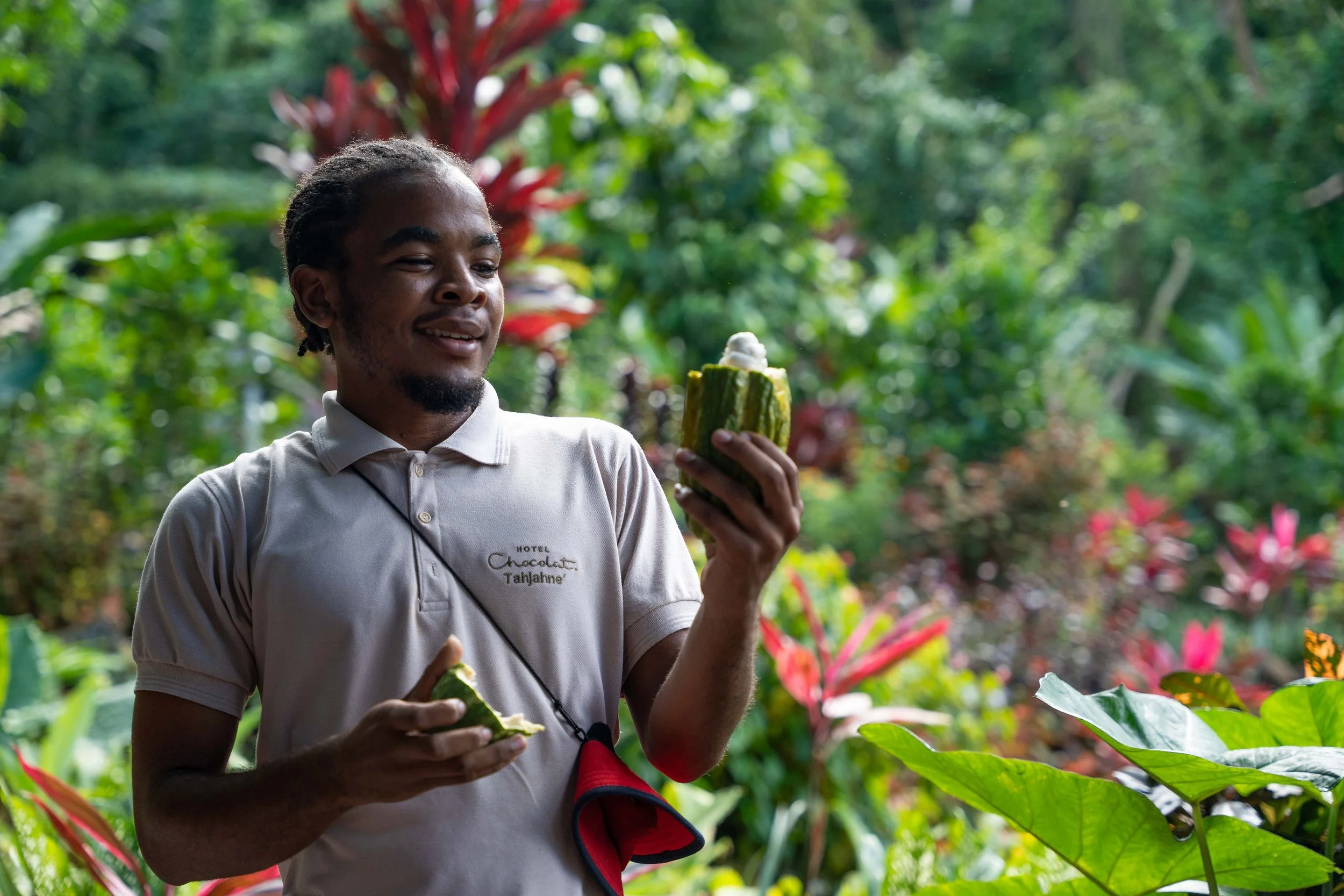 Eco travel | eco hotel | caribbean hotel | luxury hotel st lucia | | landscape hotel | nature hotel | nature destination | room and wild | Saint Lucia | Rabot Hotel, Hotel Chocolat