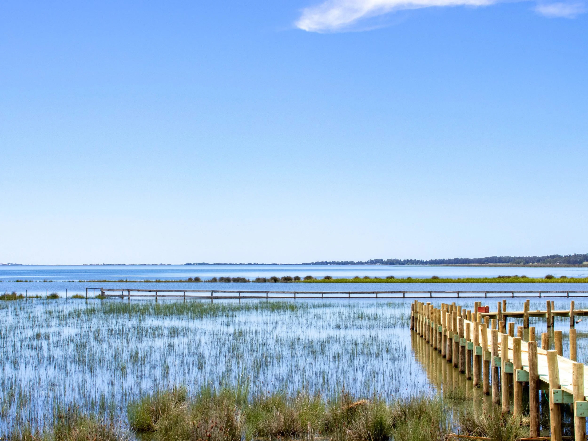Eco travel | eco hotel | luxury hotel Uruguay | | wedding hotel | landscape hotel | nature hotel | nature destination | room and wild | José Ignacio hotel | Santa Cruz Polo Club | Estancia Santa Cruz
