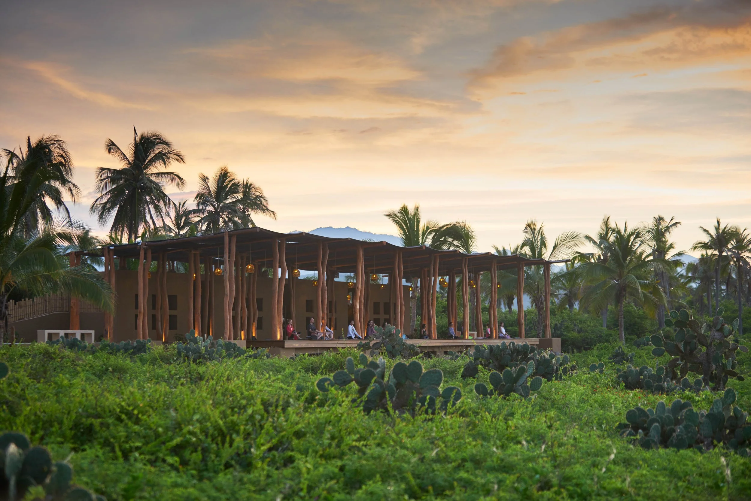  Mexico Beach Hotels | organic architecture | treehouse | Eco travel | eco luxury hotel | adventure hotel | landscape hotel | nature hotel | nature destination | room and wild | Playa Viva