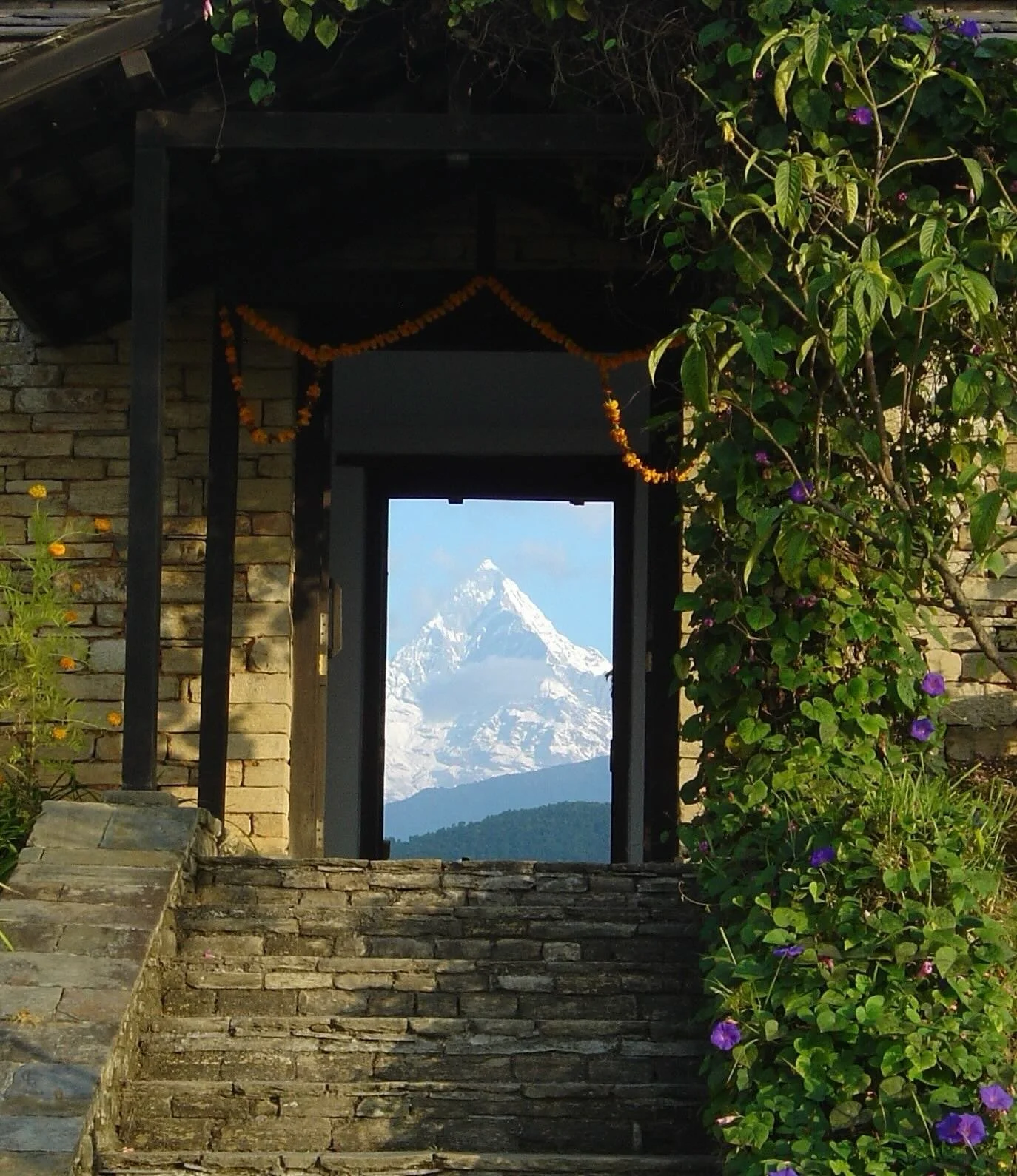 Balanced along a ridge in the Middle Himalayas, Tiger Mountain Pokhara Lodge overlooks the vast Annapurna and Machapuchare ranges: jagged peaks that tower above subtropical valleys more than 8,000 metres below their summits. At roughly 1,000 metres o