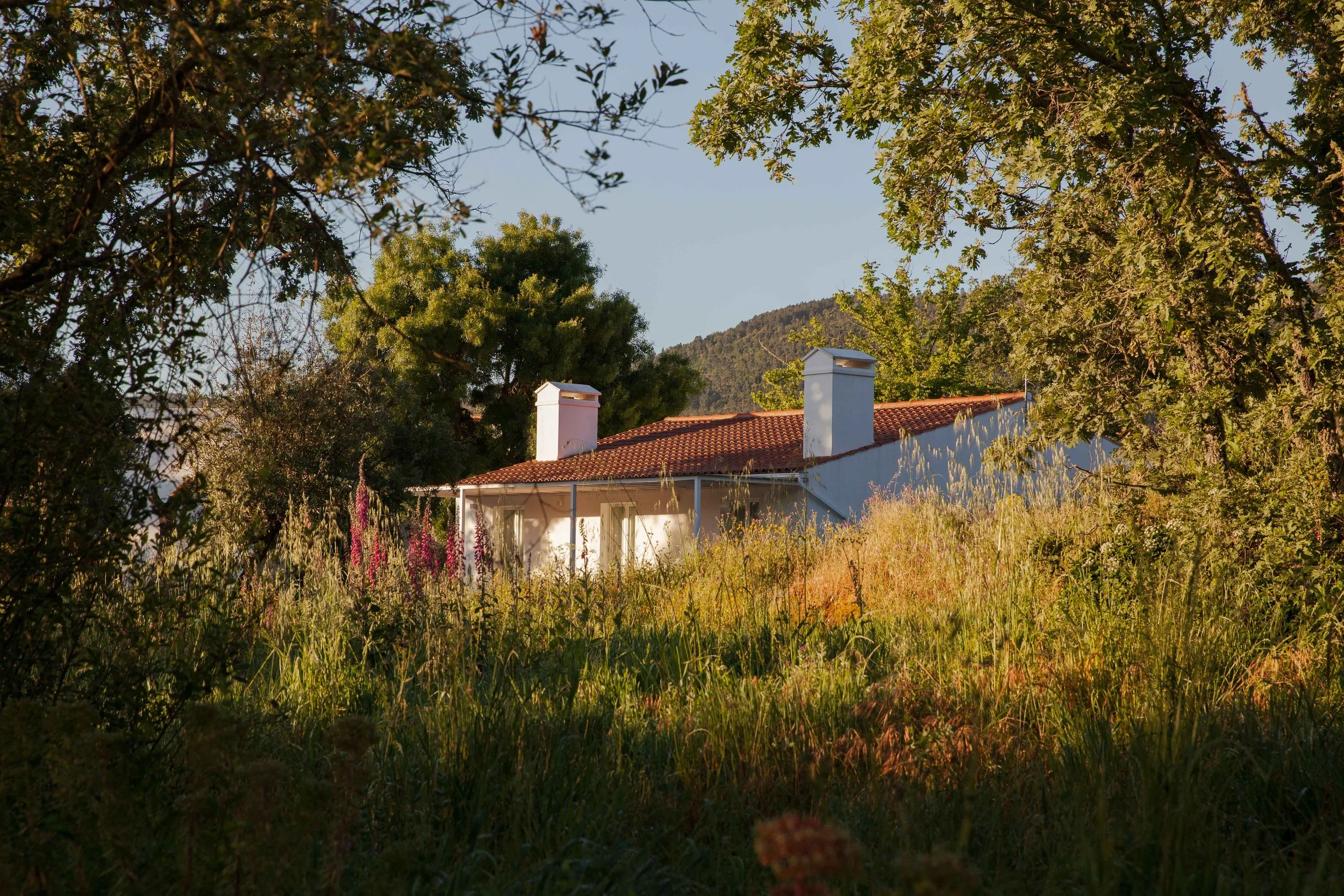 Adults Only Hotels |  | Honeymoon | Eco travel | eco hotel | Slow travel | landscape hotel | nature hotel | nature destination | room and wild | portugal Hotel | Alentejo Hotel | A Sociedade Rural