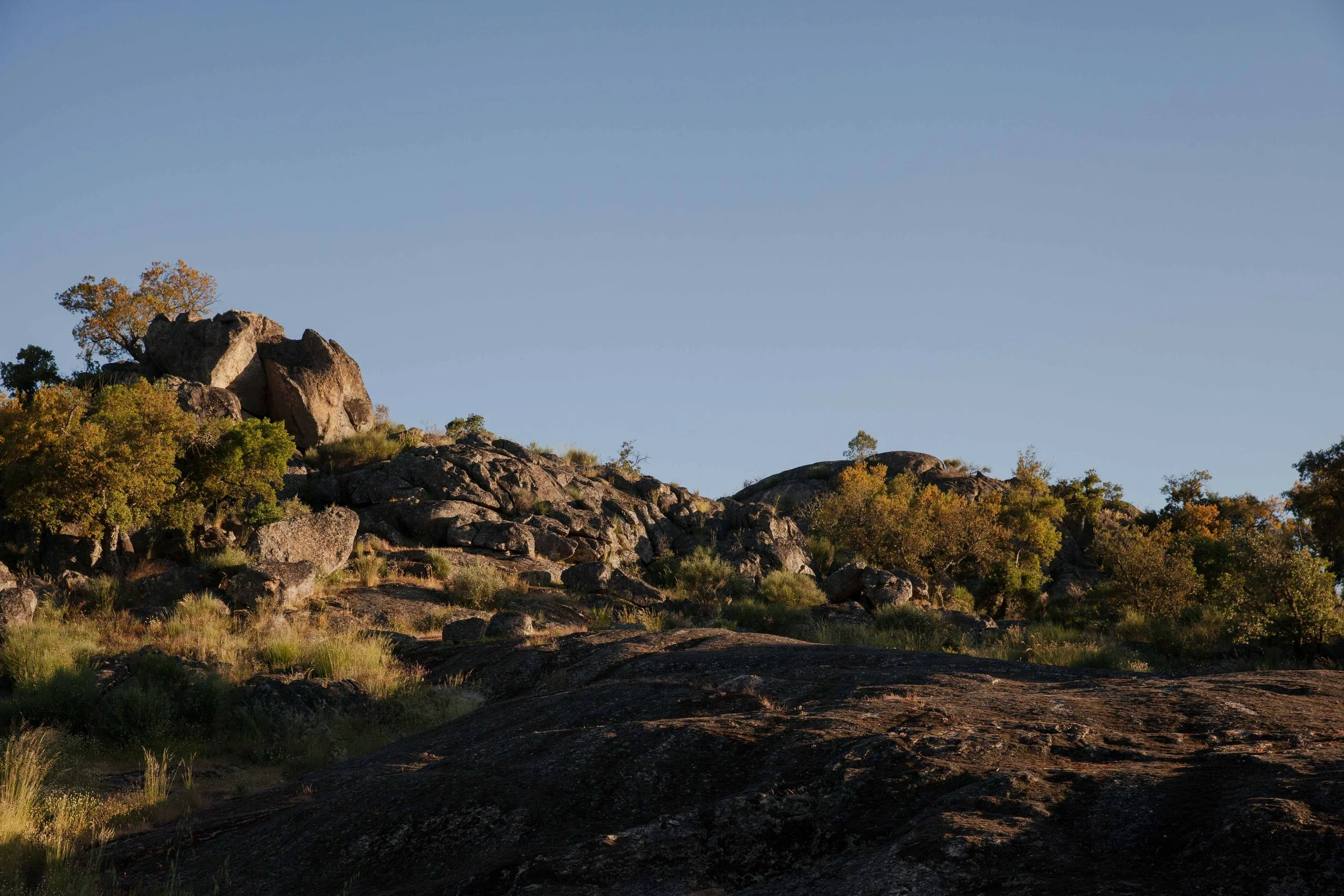 Adults Only Hotels |  | Honeymoon | Eco travel | eco hotel | Slow travel | landscape hotel | nature hotel | nature destination | room and wild | portugal luxury Hotel | Alentejo | A Sociedade Rural