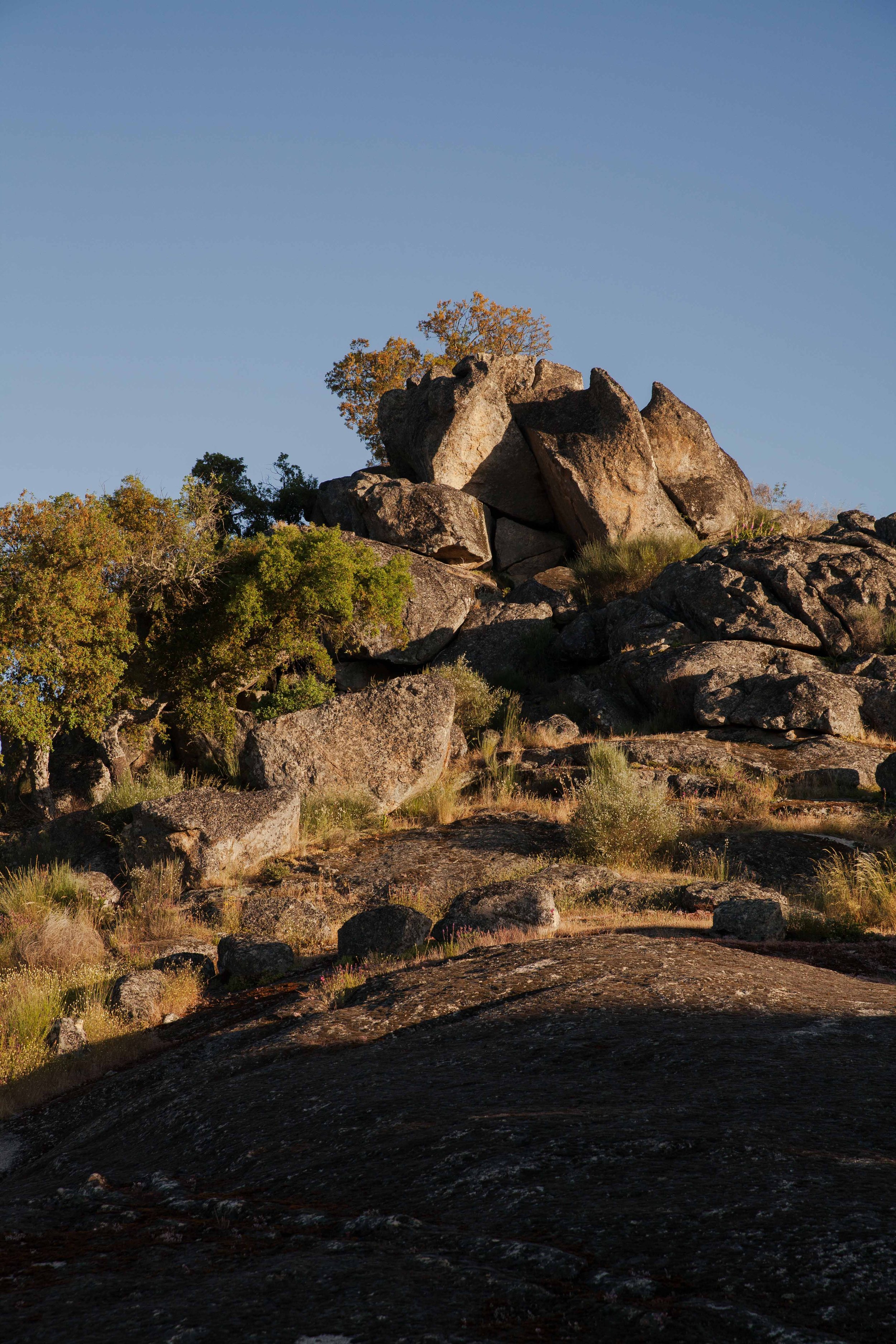 Adults Only Hotels |  | Honeymoon | Eco travel | eco hotel | Slow travel | landscape hotel | nature hotel | nature destination | room and wild | portugal luxury Hotel | Alentejo | A Sociedade Rural
