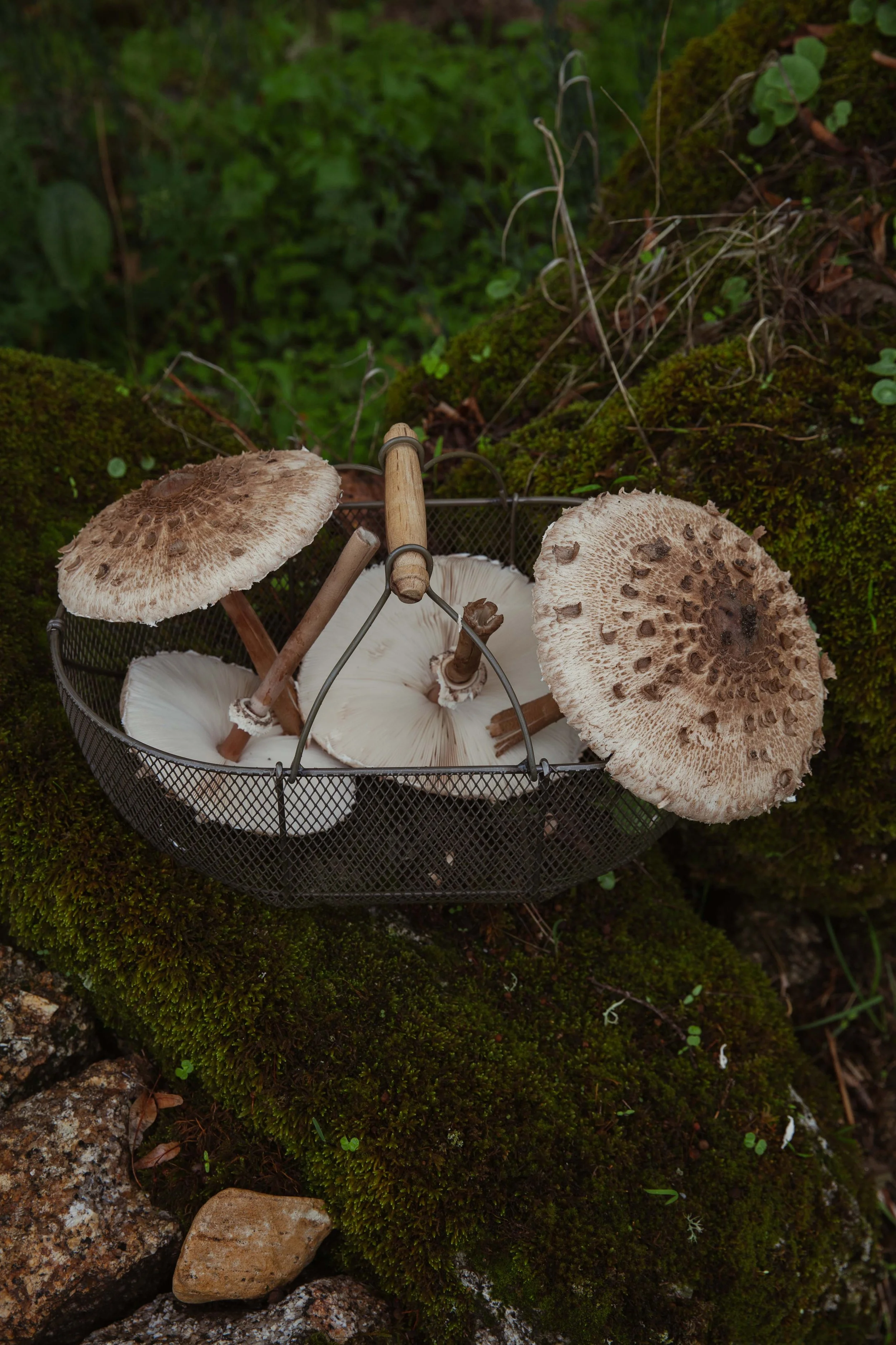 Adults Only Hotels |  | Honeymoon | Eco travel | eco hotel | Slow travel | landscape hotel | nature hotel | nature destination | room and wild | portugal luxury Hotel | Alentejo | A Sociedade Rural