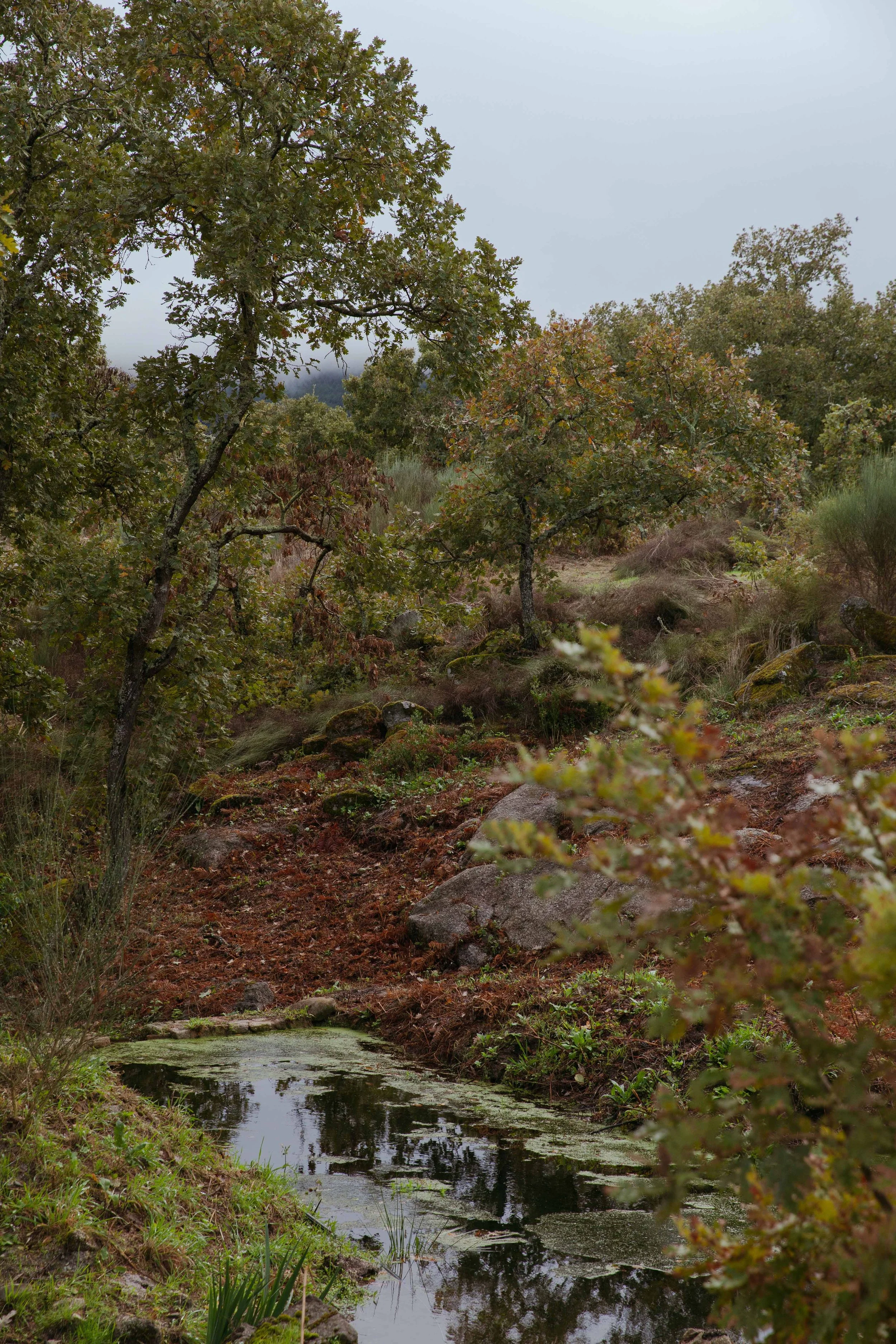 Adults Only Hotels |  | Honeymoon | Eco travel | eco hotel | Slow travel | landscape hotel | nature hotel | nature destination | room and wild | portugal luxury Hotel | Alentejo | A Sociedade Rural