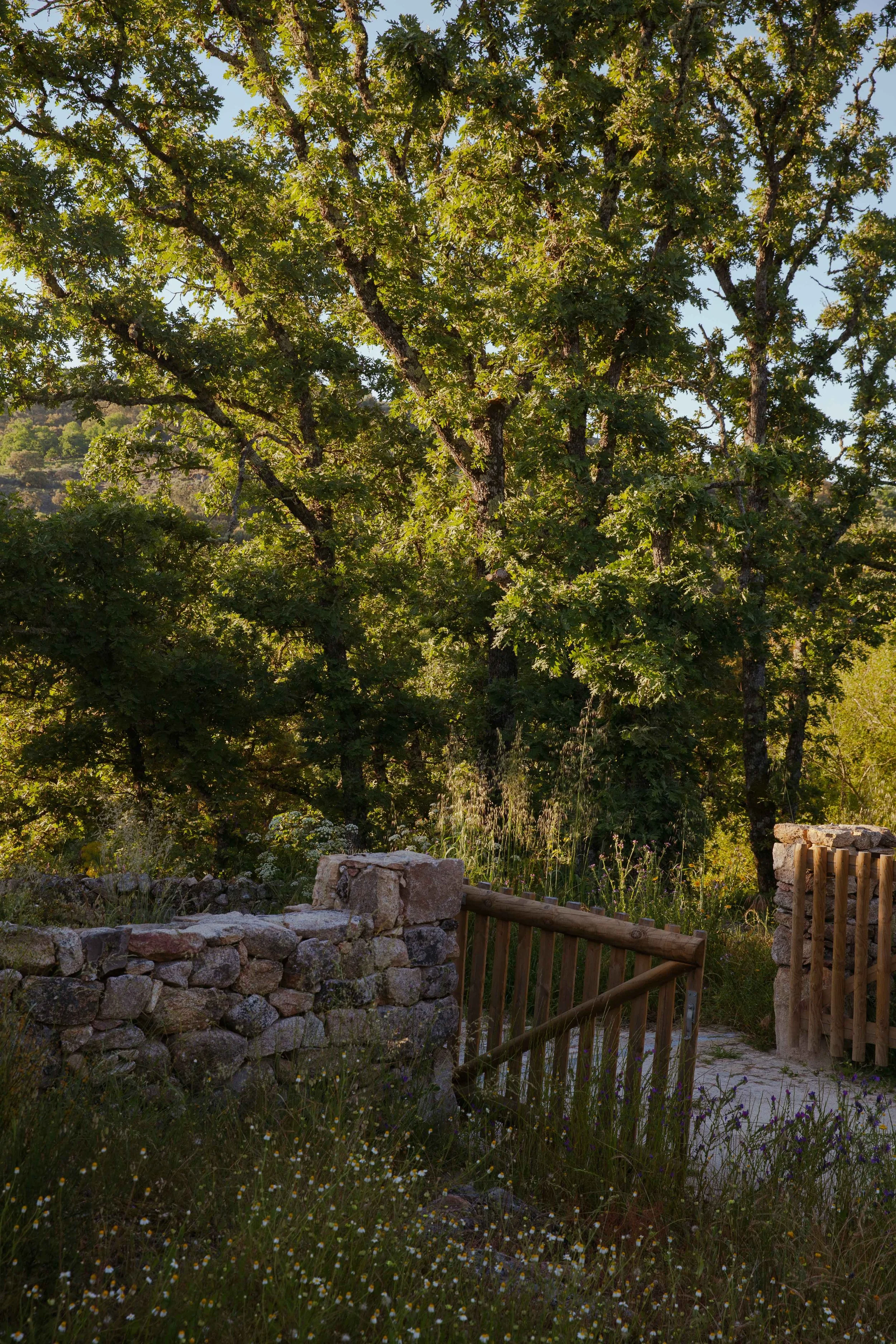 Adults Only Hotels |  | Honeymoon | Eco travel | eco hotel | Slow travel | landscape hotel | nature hotel | nature destination | room and wild | portugal luxury Hotel | Alentejo | A Sociedade Rural