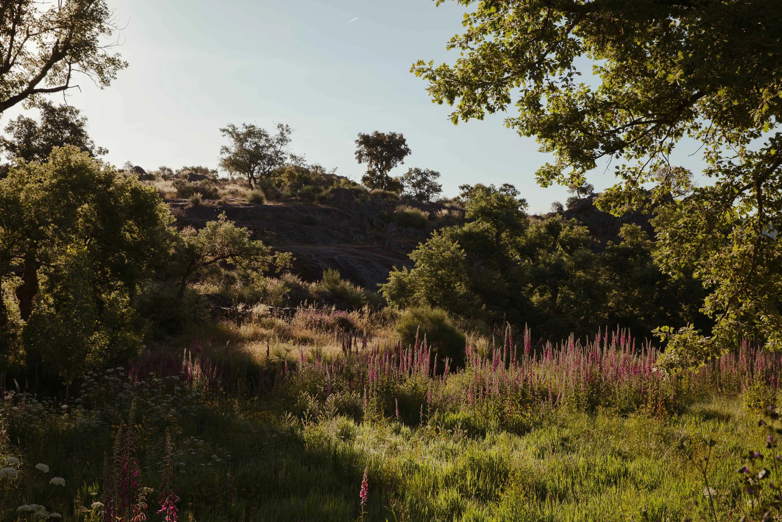 Adults Only Hotels |  | Honeymoon | Eco travel | eco hotel | Slow travel | landscape hotel | nature hotel | nature destination | room and wild | portugal luxury Hotel | Alentejo | A Sociedade Rural