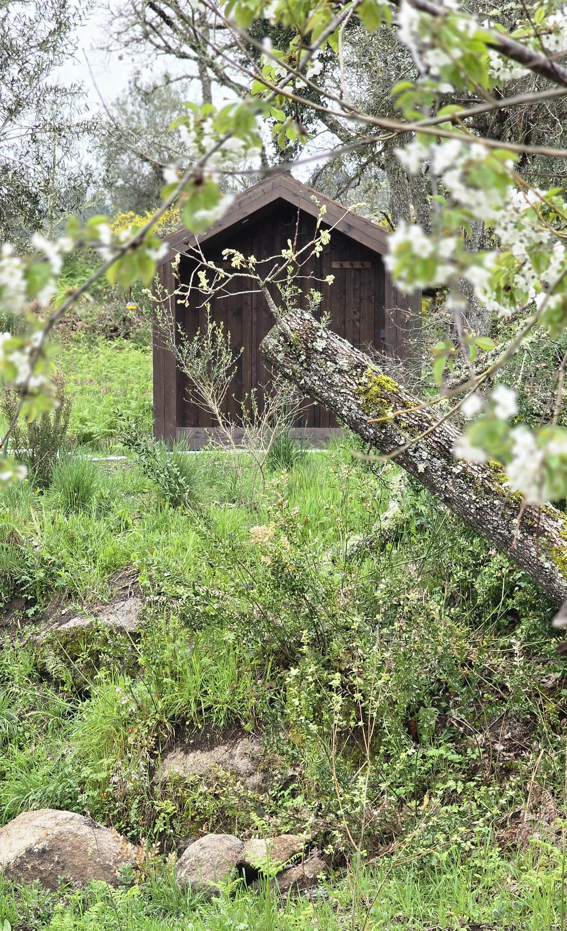 Adults Only Hotels |  | Honeymoon | Eco travel | eco hotel | Slow travel | landscape hotel | nature hotel | nature destination | room and wild | portugal luxury Hotel | Alentejo | A Sociedade Rural