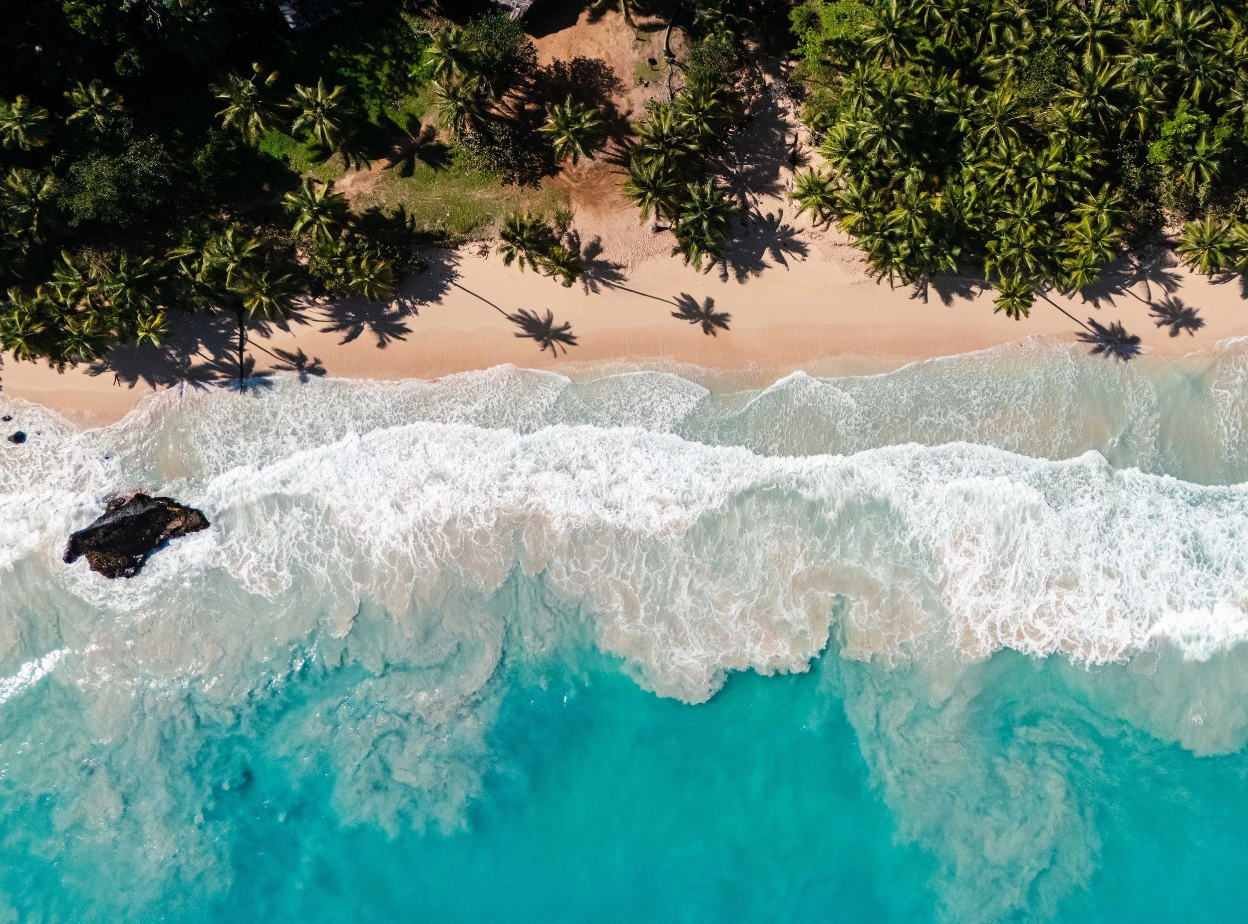Caribbean Beachfront villa | Eco travel | eco luxury | wellness hotel | landscape hotel | nature hotel | nature destination | room and wild | dominican republic luxury hotel | Ocama Boutique Hotel