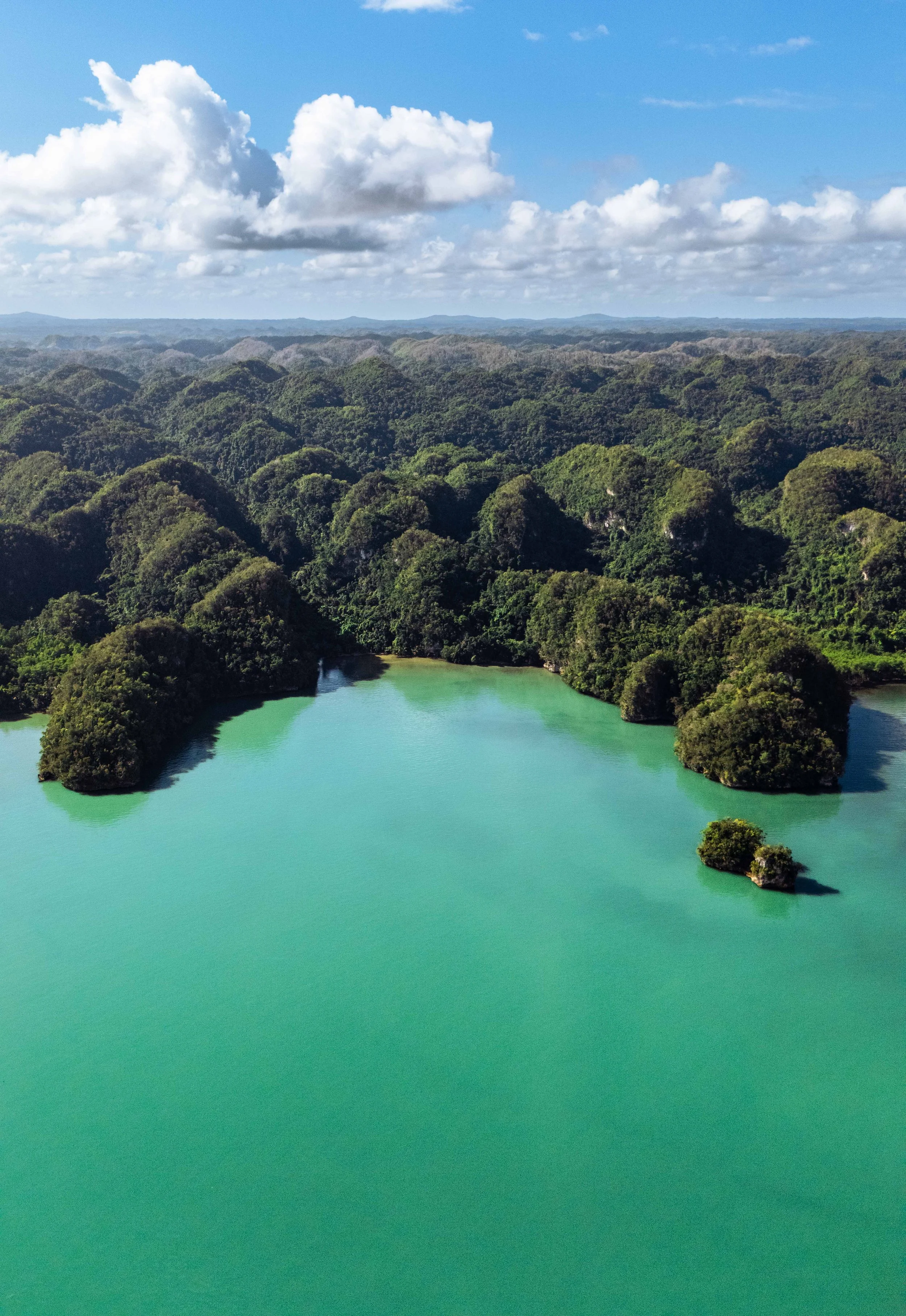 Caribbean Beachfront villa | Eco travel | eco luxury | wellness hotel | landscape hotel | nature hotel | nature destination | room and wild | dominican republic luxury hotel | Ocama Boutique Hotel