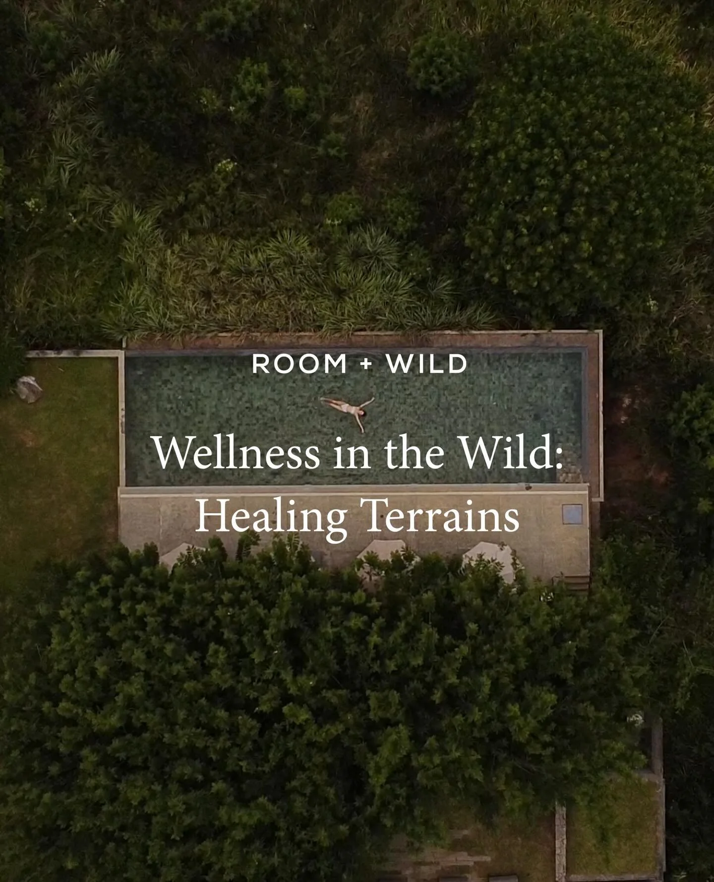 Across ecosystems, from mist-shrouded forests to wind-washed seashores and high alpine ridges, landscapes shape the rhythms of our bodies and minds in measurable ways. Forests rich in phytoncides, the aromatic compounds released by trees, support imm
