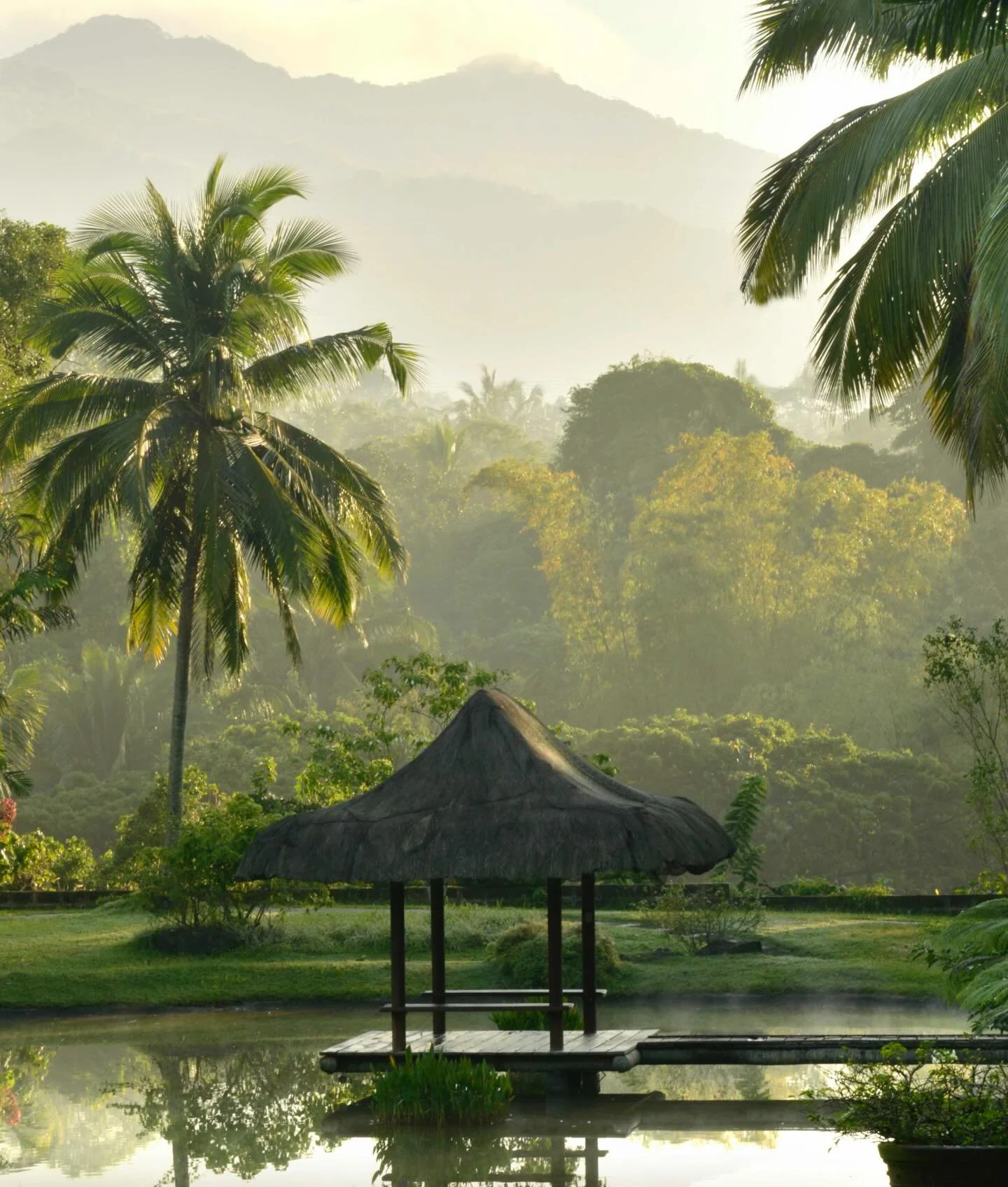 Set at the foothills of Mount Malarayat, just south of Manila, The Farm at San Benito is a premier holistic wellness destination that unfolds across coconut groves, medicinal gardens, and dense tropical foliage. Despite its proximity to the city, the