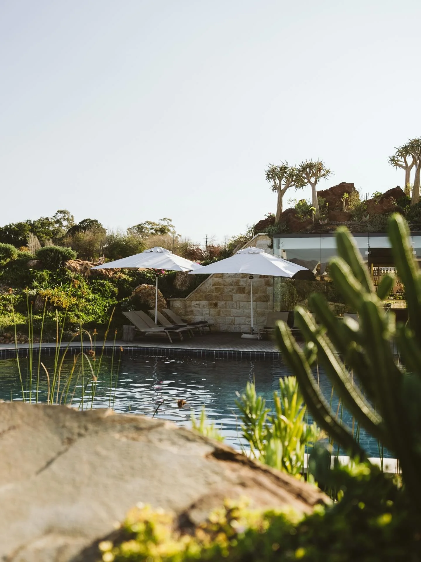 Set within the fire-shaped fynbos of South Africa&rsquo;s Cape Floristic Region, Babylonstoren&rsquo;s Fynbos Cottages offer a quiet immersion into one of the most biodiverse landscapes on Earth. Framed by vineyards, orchards, and mountain scrub, the