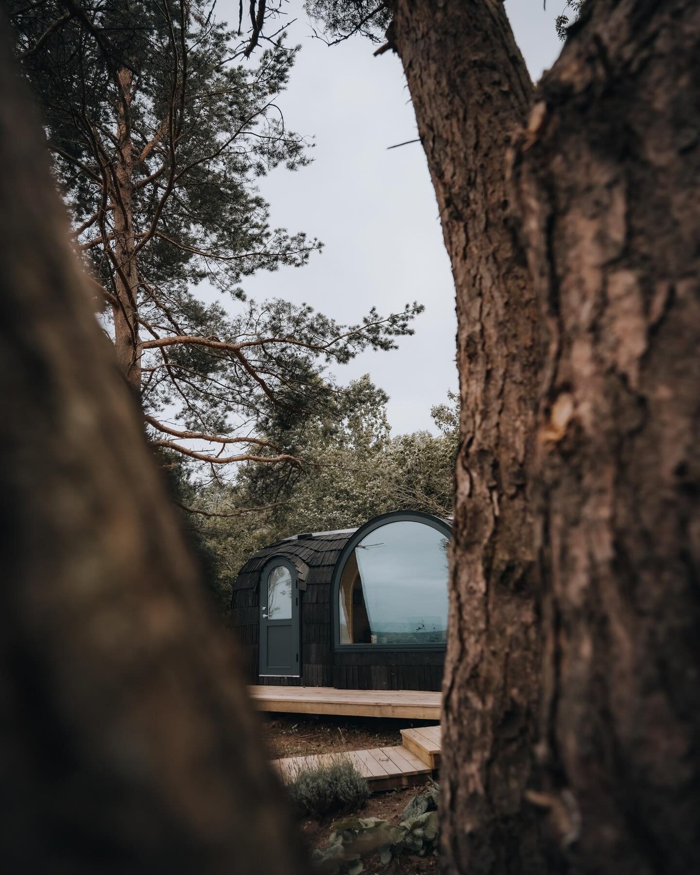 At Mount Congreve House and Gardens, accommodation unfolds as a series of intimate, nature-led spaces scattered across the estate, each offering a distinct way to inhabit the landscape. Woodland cabins sit quietly among ancient trees, designed with w