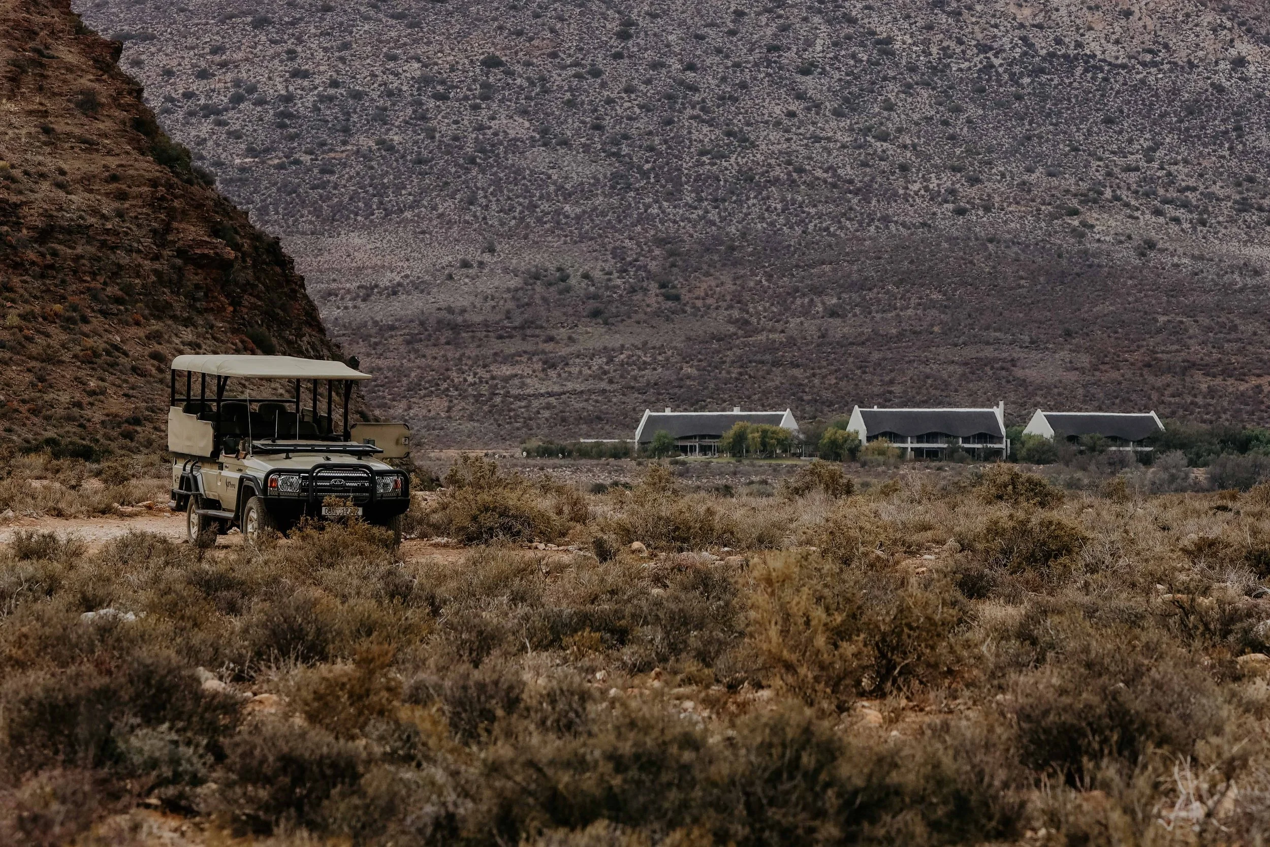 safari hotel | south africa hotel | adventure | Eco travel | eco hotel | landscape hotel | nature hotel | nature destination | room and wild | luxury hotel | conservation | Sanbona Wildlife Reserve