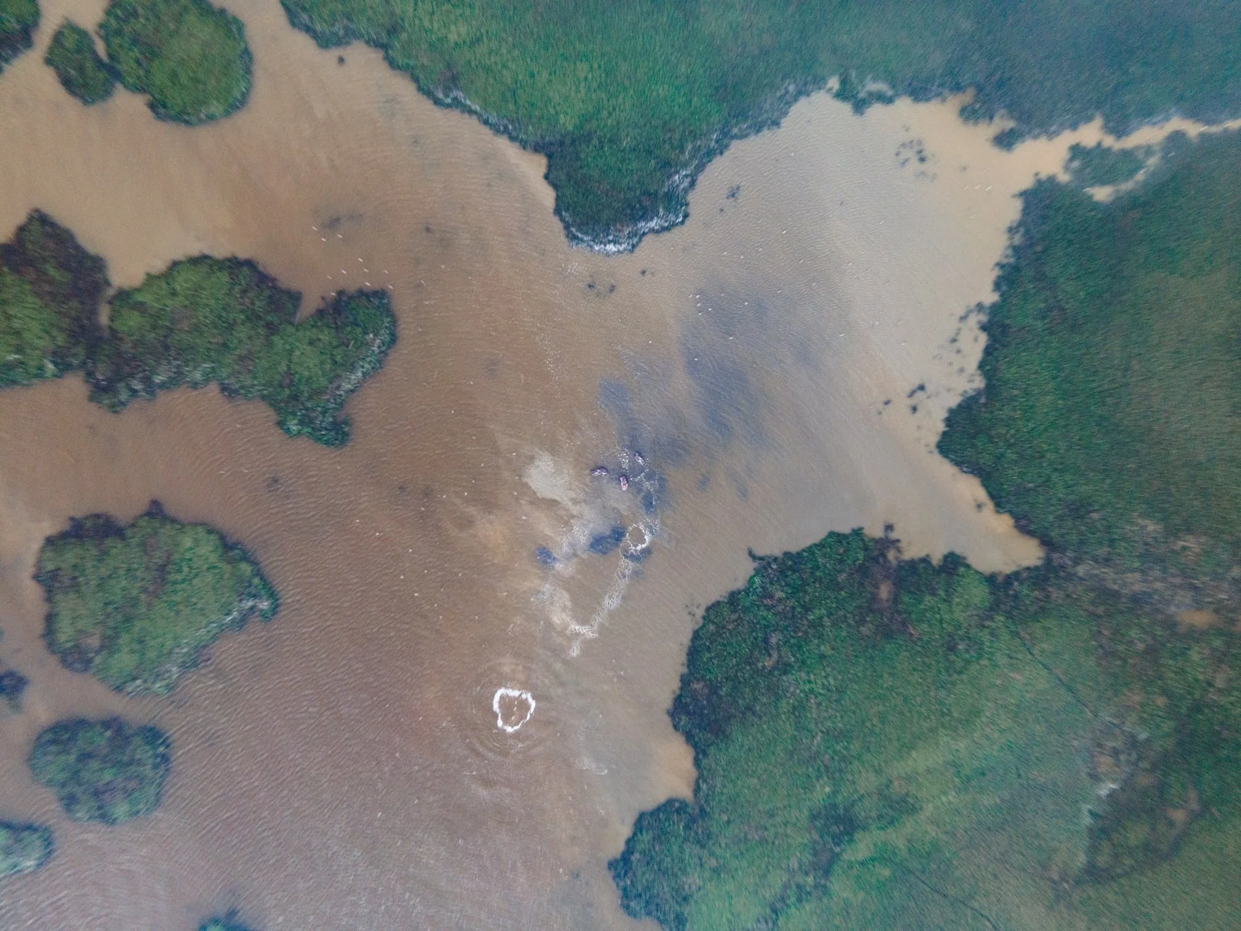 safari hotel | south africa hotel | adventure | Eco travel | eco hotel | landscape hotel | nature hotel | nature destination | room and wild | luxury hotel | conservation | Sanbona Wildlife Reserve