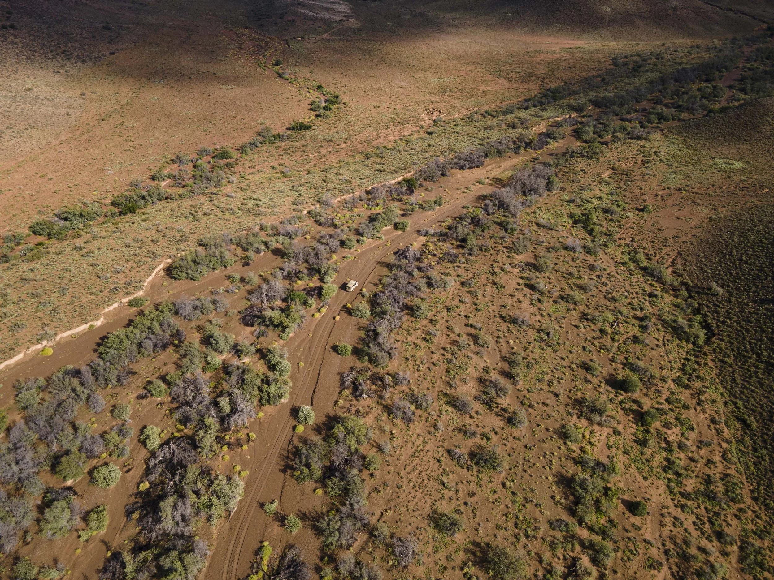 safari hotel | south africa hotel | adventure | Eco travel | eco hotel | landscape hotel | nature hotel | nature destination | room and wild | luxury hotel | conservation | Sanbona Wildlife Reserve