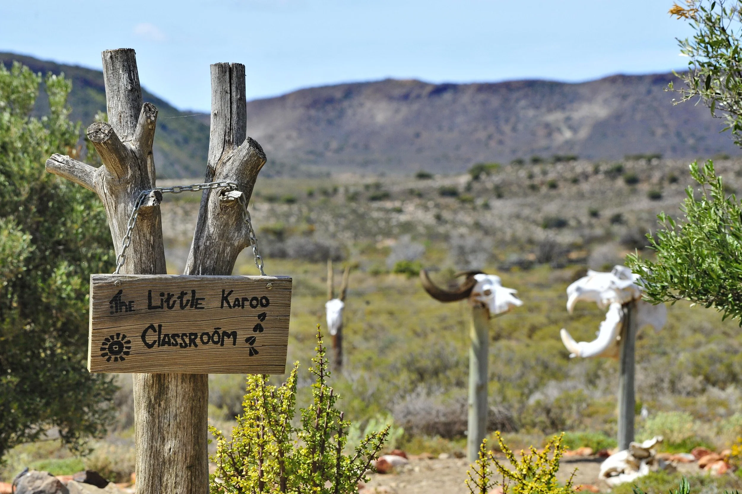 safari hotel | south africa hotel | adventure | Eco travel | eco hotel | landscape hotel | nature hotel | nature destination | room and wild | luxury hotel | conservation | Sanbona Wildlife Reserve