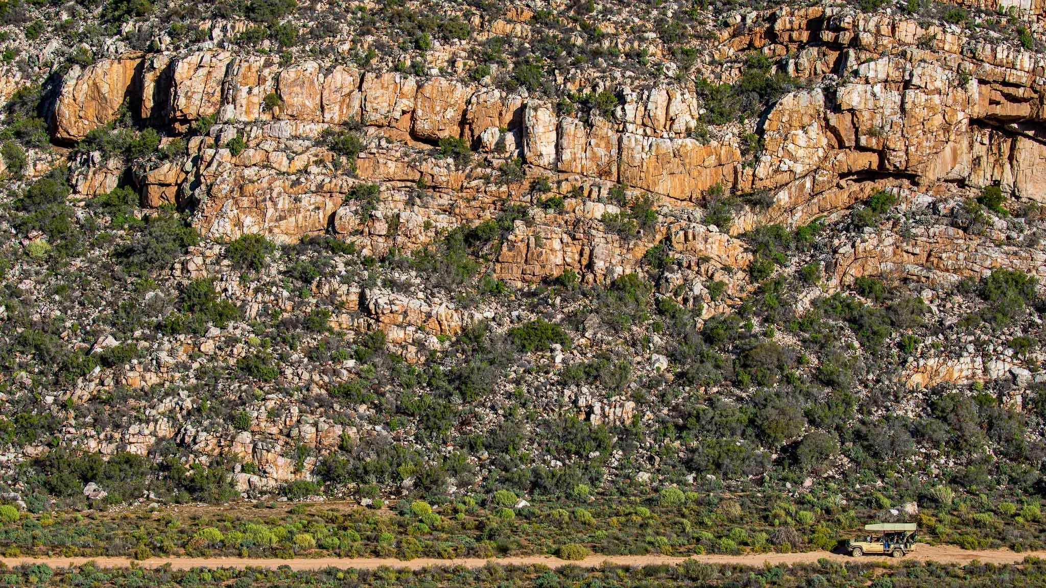 safari hotel | south africa hotel | adventure | Eco travel | eco hotel | landscape hotel | nature hotel | nature destination | room and wild | luxury hotel | conservation | Sanbona Wildlife Reserve