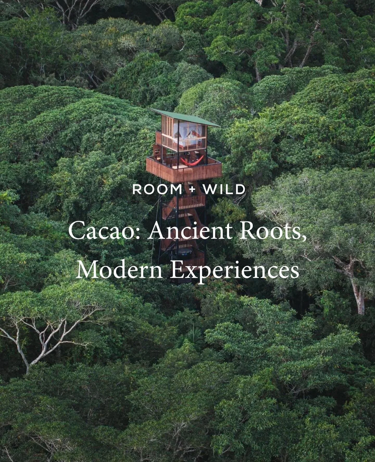 Cacao begins as a seed but has always been more than a plant. Long before it was sweetened or shaped into modern wellness culture, it was revered by the Olmec, Maya, and Aztec civilizations as medicine, currency, and messenger. Consumed as a bitter, 