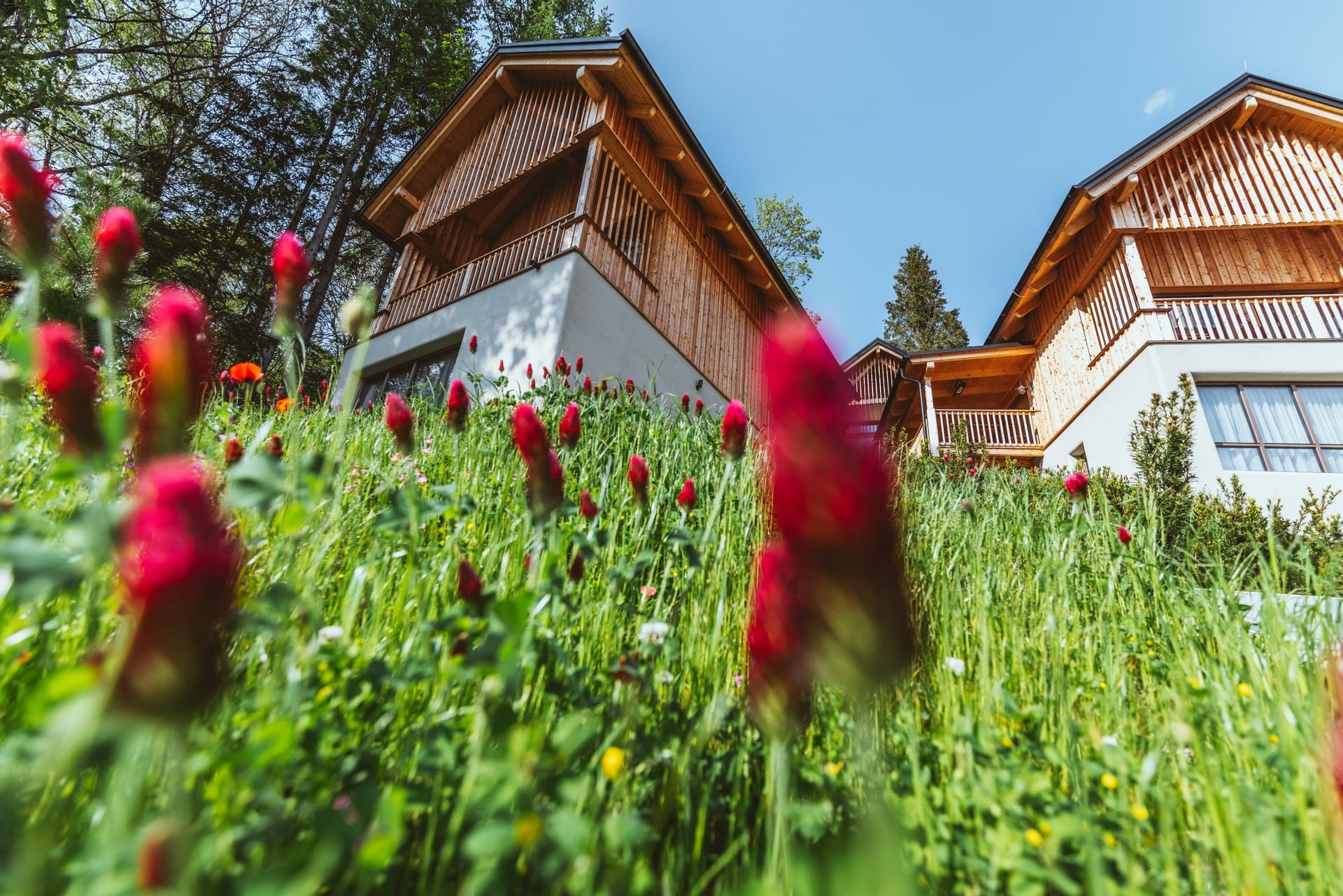 Alpine Hotel | Austria Hotel | Eco travel | eco hotel | adventure hotel | landscape hotel | nature hotel | nature destination | room and wild | Mariazell hotel | Erlaufsee | chalet | Monte Styria 