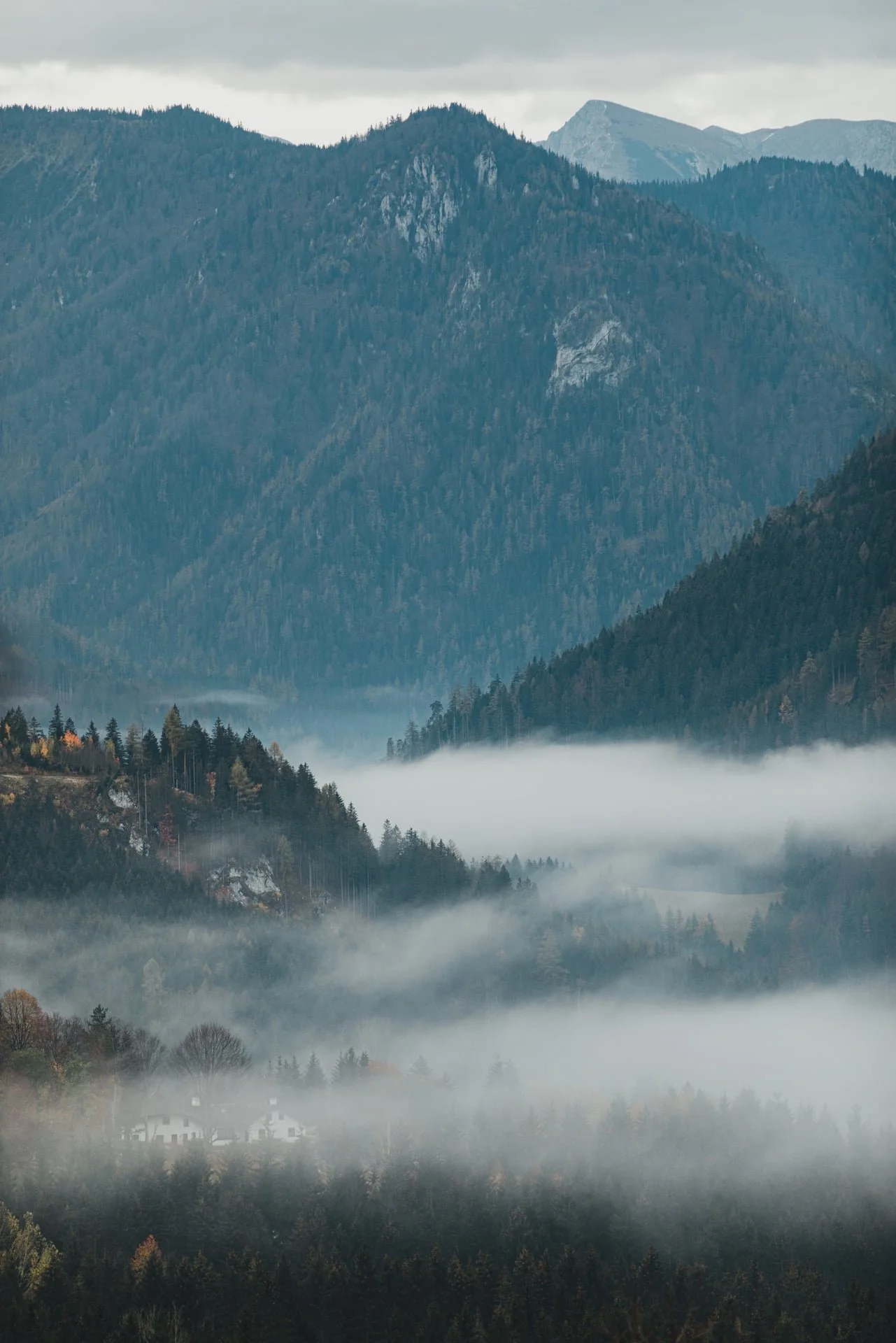 Alpine Hotel | Austria Hotel | Eco travel | eco hotel | adventure hotel | landscape hotel | nature hotel | nature destination | room and wild | Mariazell hotel | Erlaufsee | chalet | Montestyria 