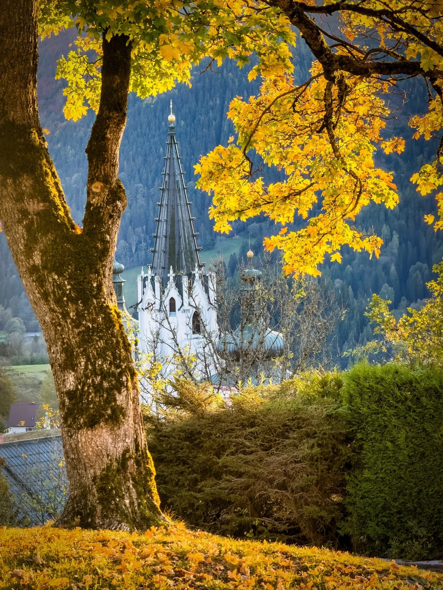Alpine Hotel | Austria Hotel | Eco travel | eco hotel | adventure hotel | landscape hotel | nature hotel | nature destination | room and wild | Mariazell hotel | Erlaufsee | chalet | Montestyria 