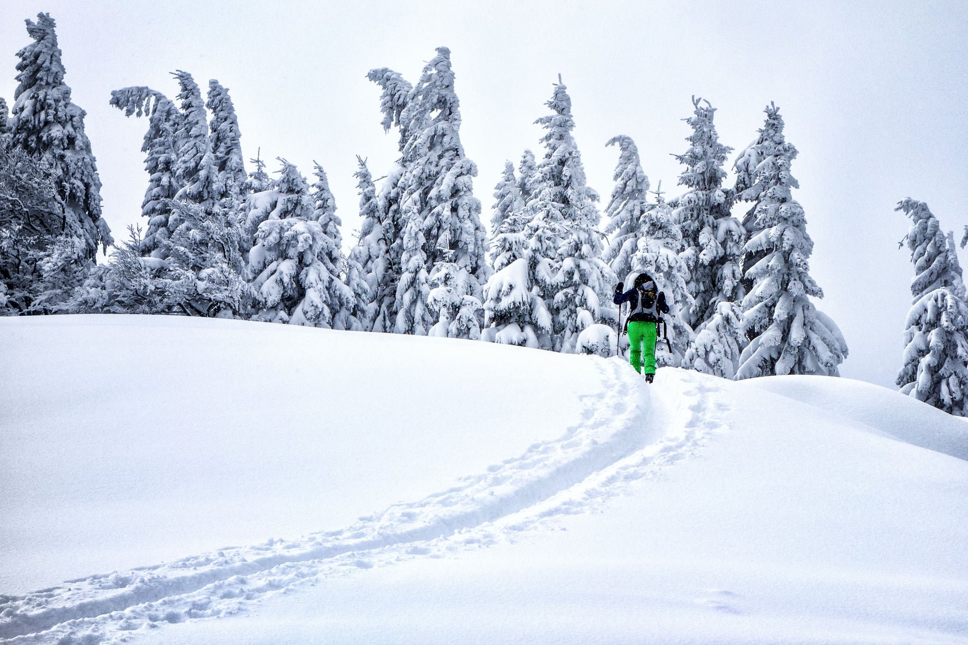 Alpine Hotel | Austria Hotel | Eco travel | eco hotel | adventure hotel | landscape hotel | nature hotel | nature destination | room and wild | Mariazell hotel | Erlaufsee | chalet | Montestyria 