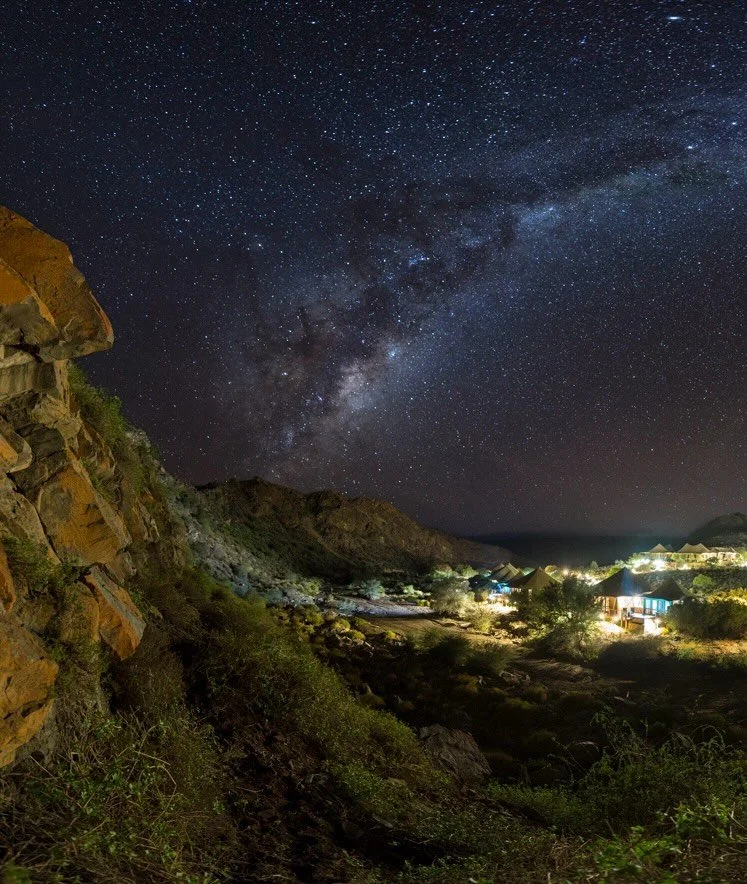 Sanbona Wildlife Reserve unfolds across 62,000 hectares of reclaimed farmland in the heart of the Little Karoo, set between Montagu and Barrydale along the iconic Route 62. The landscape is shaped by the Warmwaterberg Mountains and the ancient Cape F