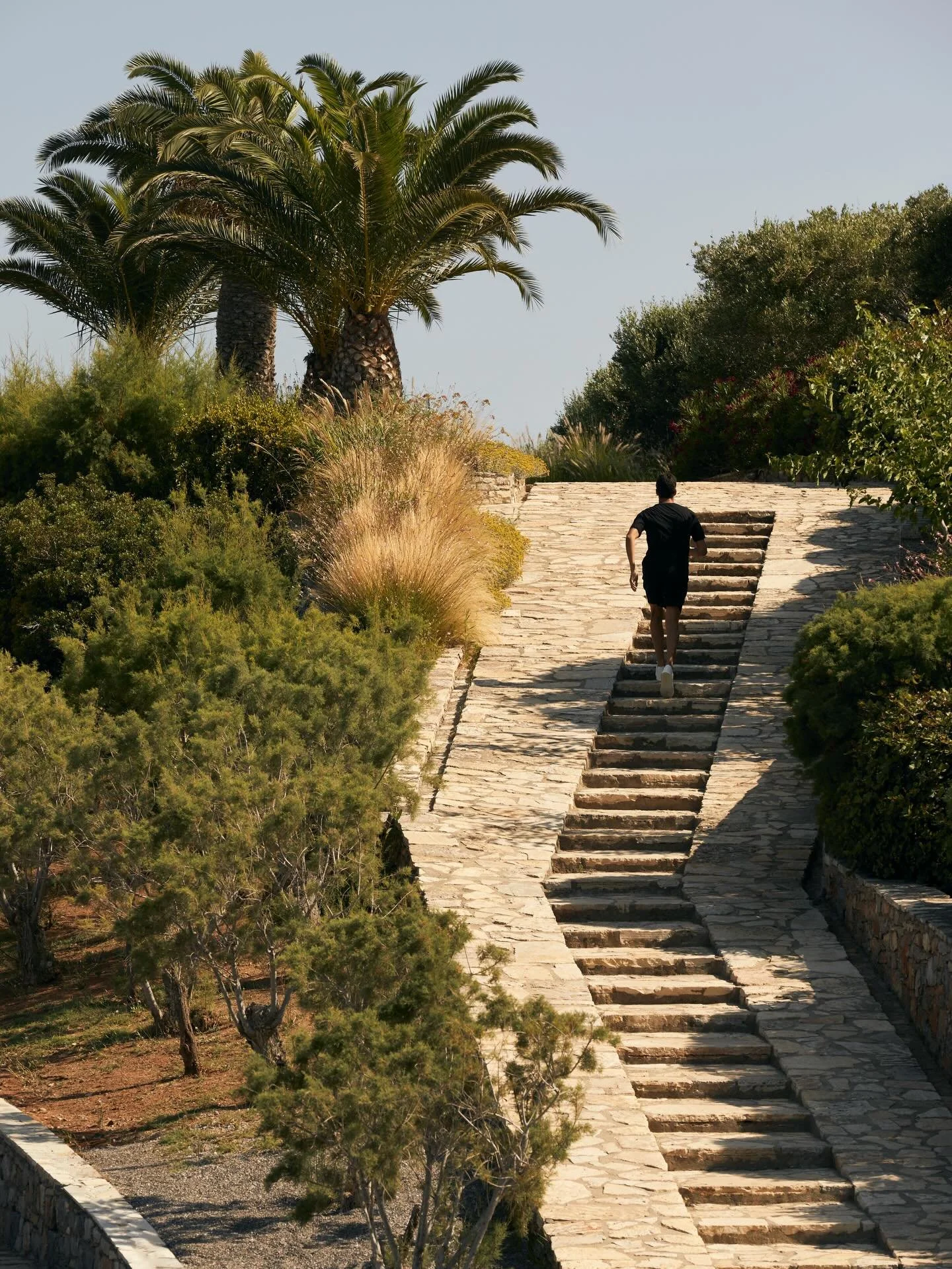 Set along the coastline of Crete, Minos Palace Hotel &amp; Suites redefines the idea of a wellness escape by shifting the experience of travel from indulgence to alignment. Nutrition remains considered, with menus designed around balance and energy, 