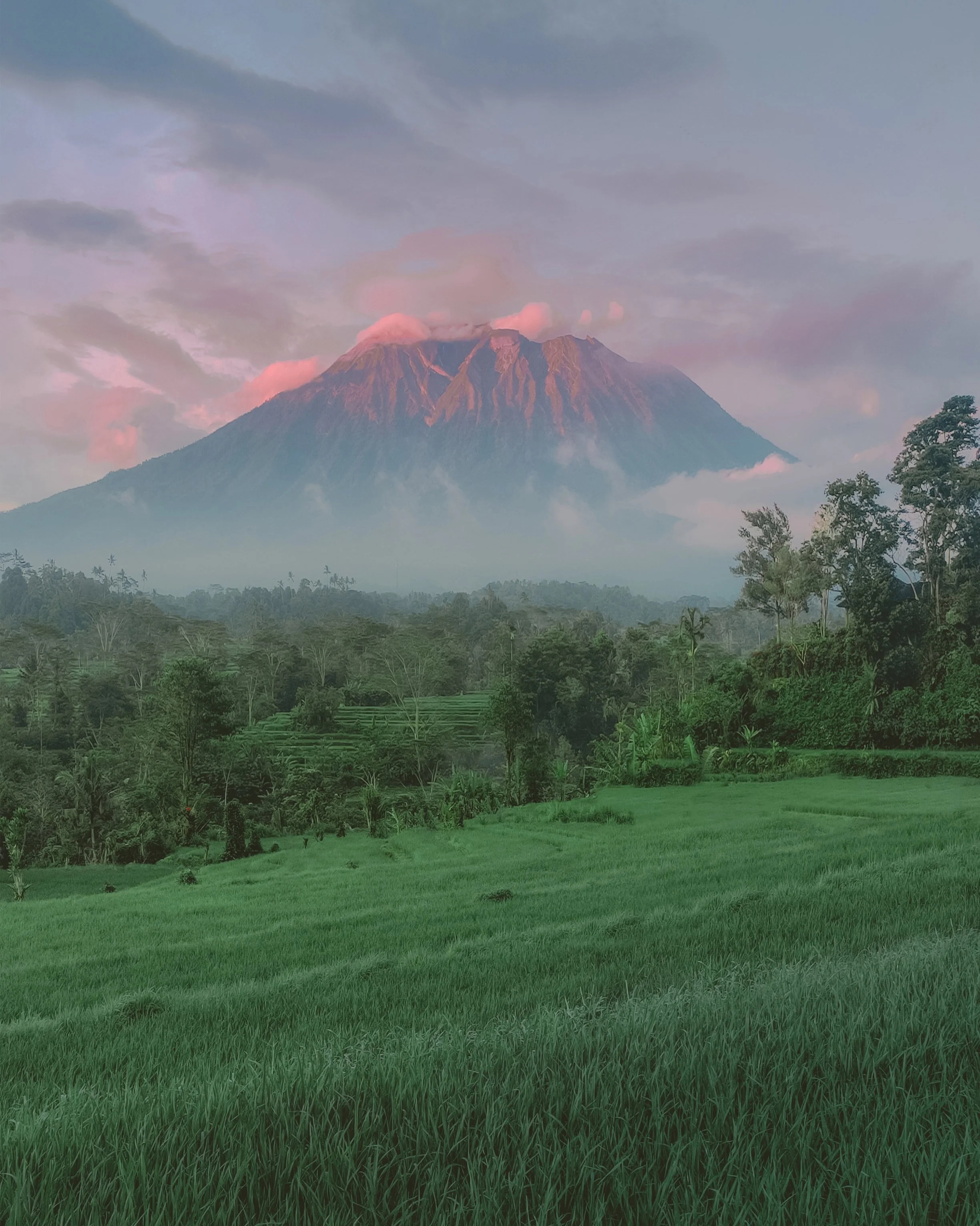 Bali luxury hotel | wellness Hotel | Honeymoon Hotel | Slow Travel | Eco travel | eco hotel | landscape hotel | nature hotel | nature destination | room and wild | Samanvaya Luxury Resort and Spa
