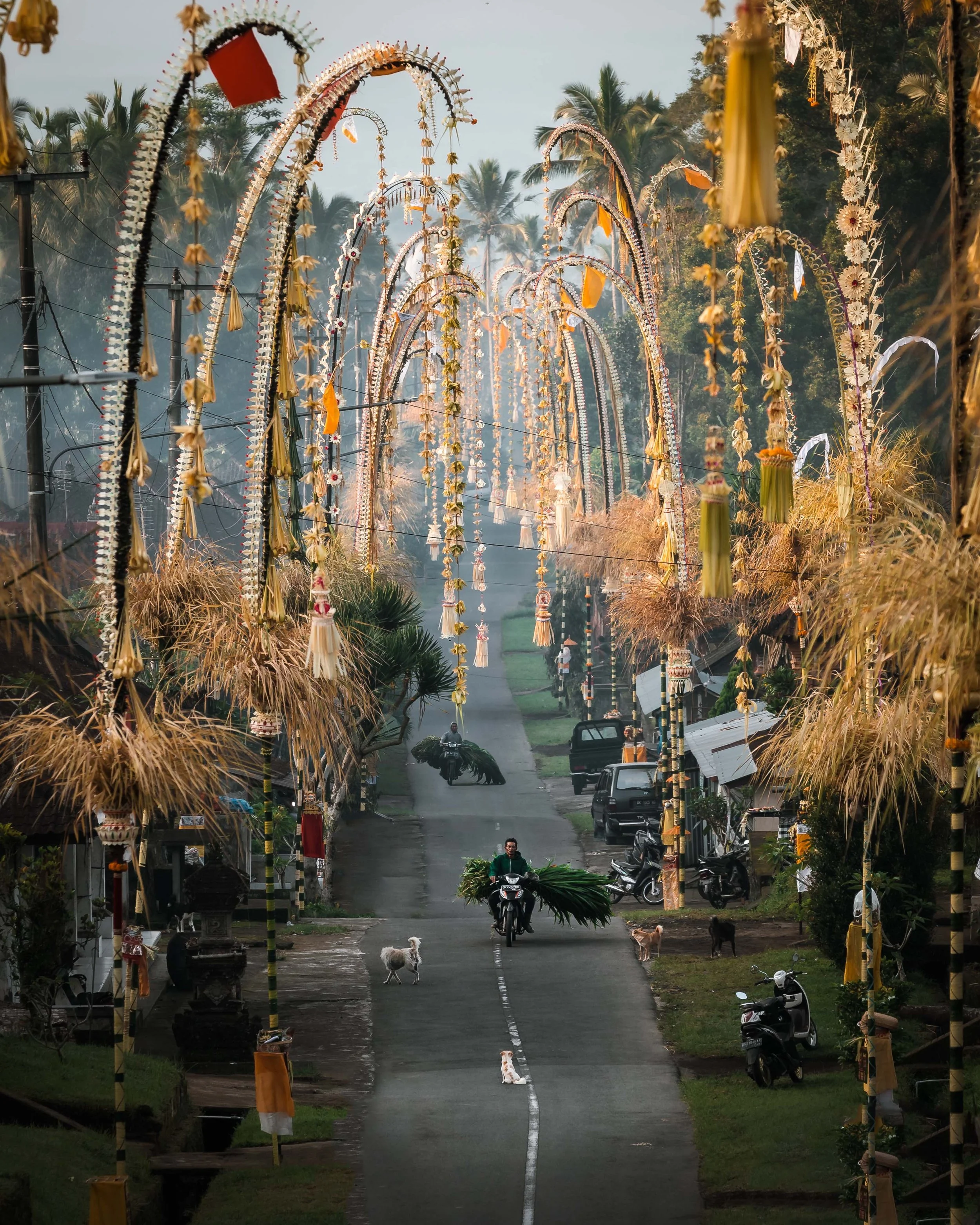 Bali luxury hotel | wellness Hotel | Honeymoon Hotel | Slow Travel | Eco travel | eco hotel | landscape hotel | nature hotel | nature destination | room and wild | Samanvaya Luxury Resort and Spa
