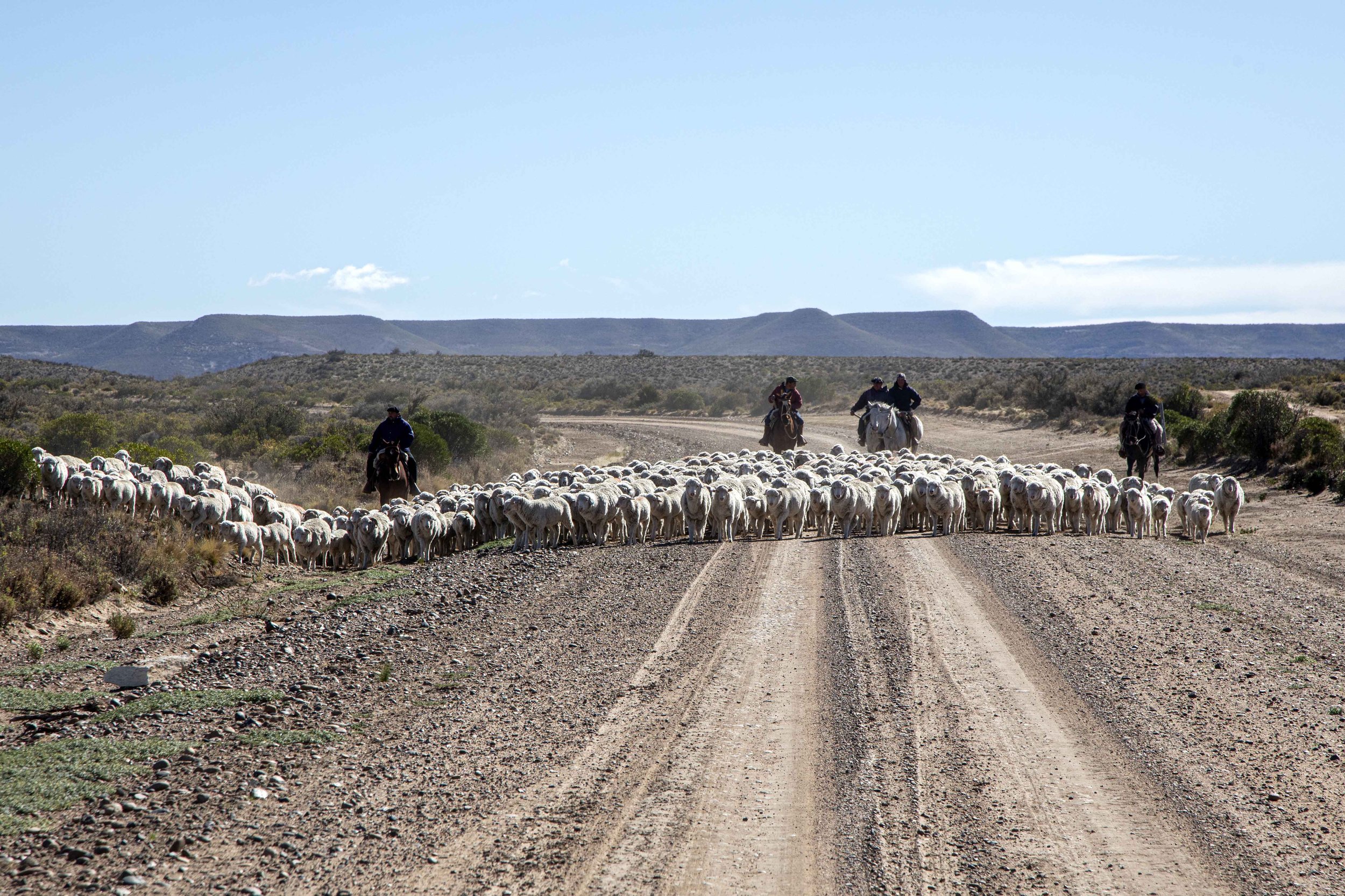 Argentina Hotels | Adventure Hotels | Wildlife reserve | Nature Hotels | Eco travel | eco luxury | nature destination | Landscape Hotels | Patagonia hotels | Penguin colonies | Bahia Bustamente Lodge