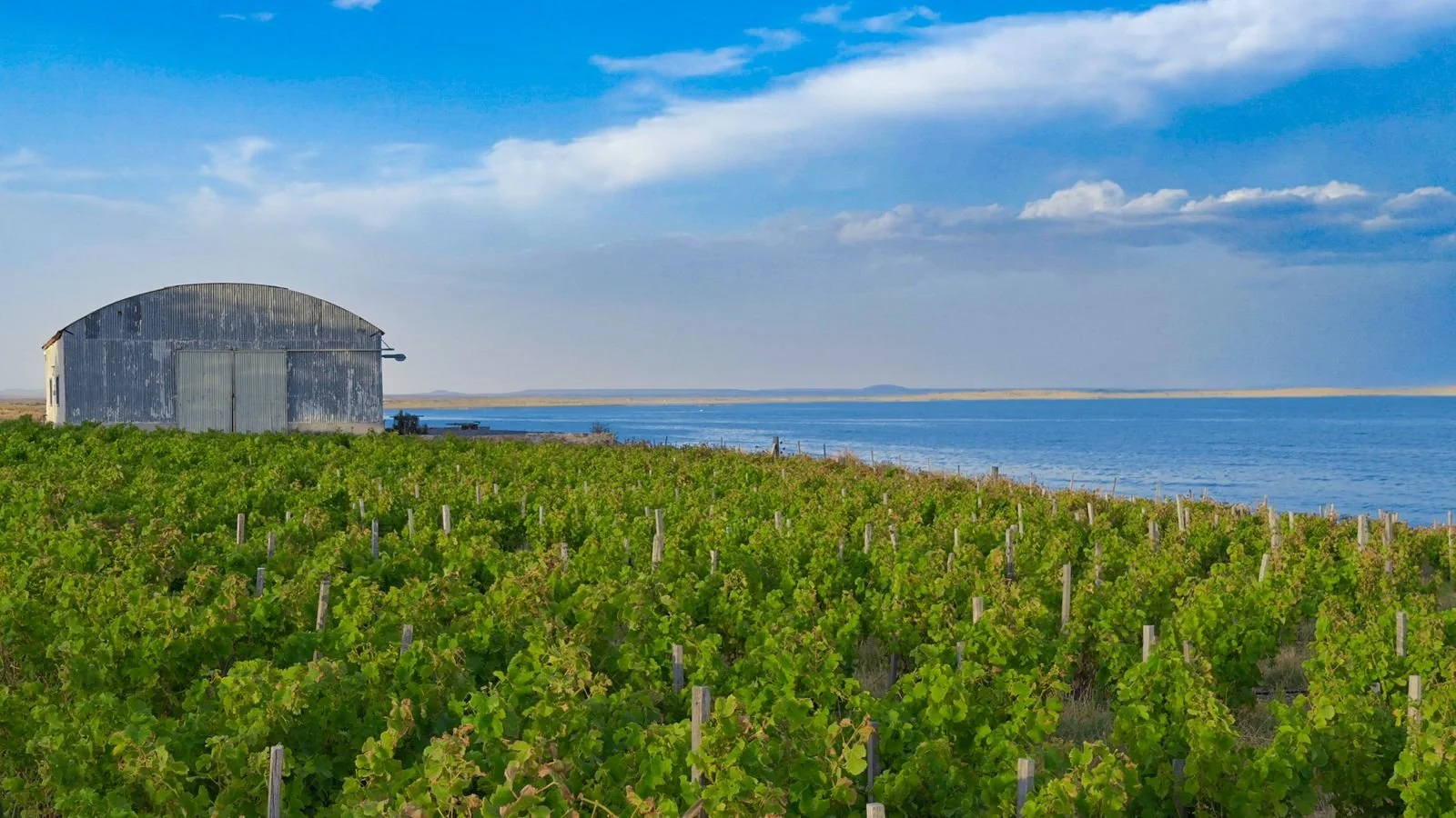 Argentina Hotels | Adventure Hotels | Wildlife reserve | Nature Hotels | Eco travel | eco luxury | nature destination | Landscape Hotels | Patagonia hotels | Penguin colonies | Bahia Bustamente Lodge