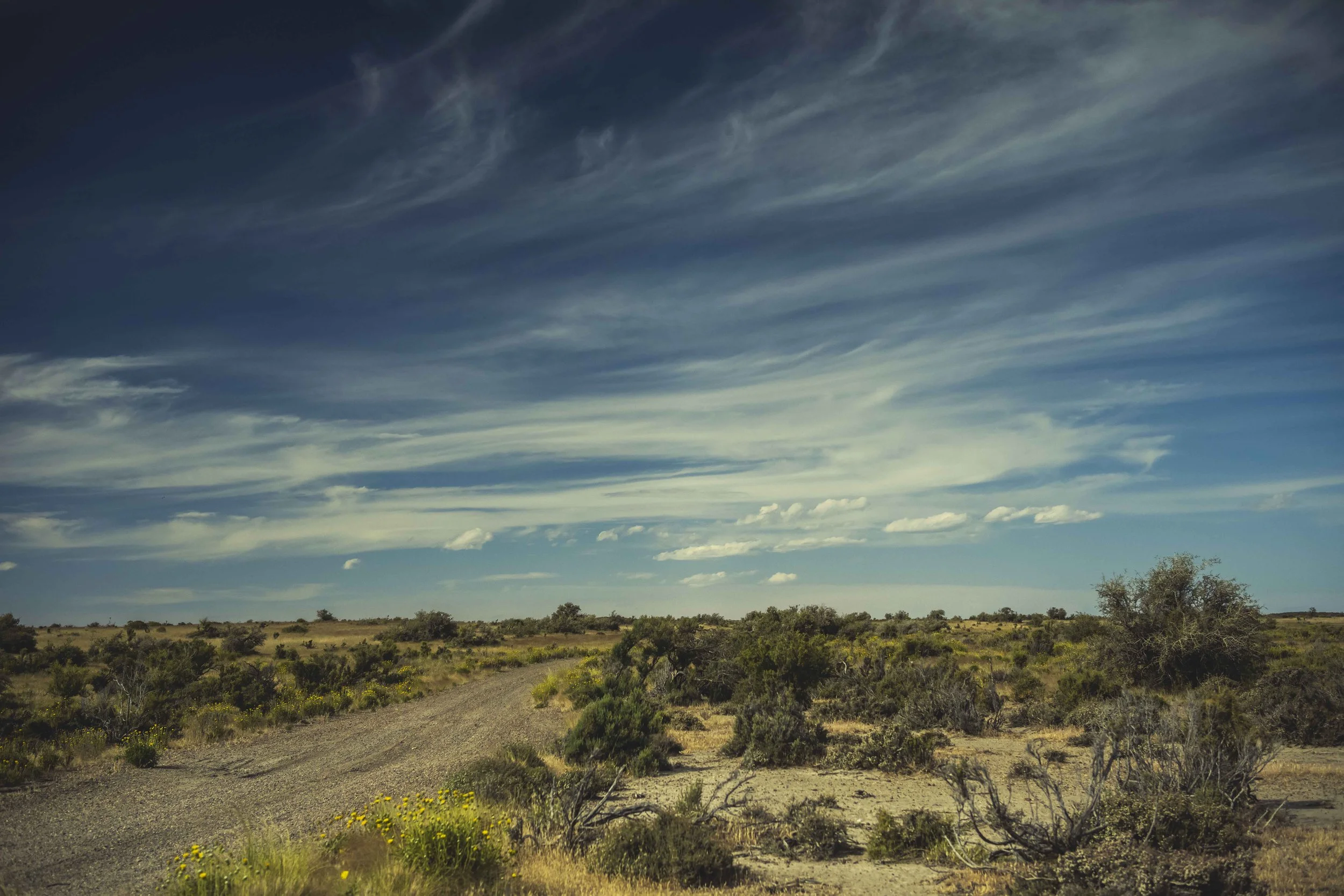 Argentina Hotels | Adventure Hotels | Wildlife reserve | Nature Hotels | Eco travel | eco luxury | nature destination | Landscape Hotels | Patagonia hotels | Penguin colonies | Bahia Bustamente Lodge
