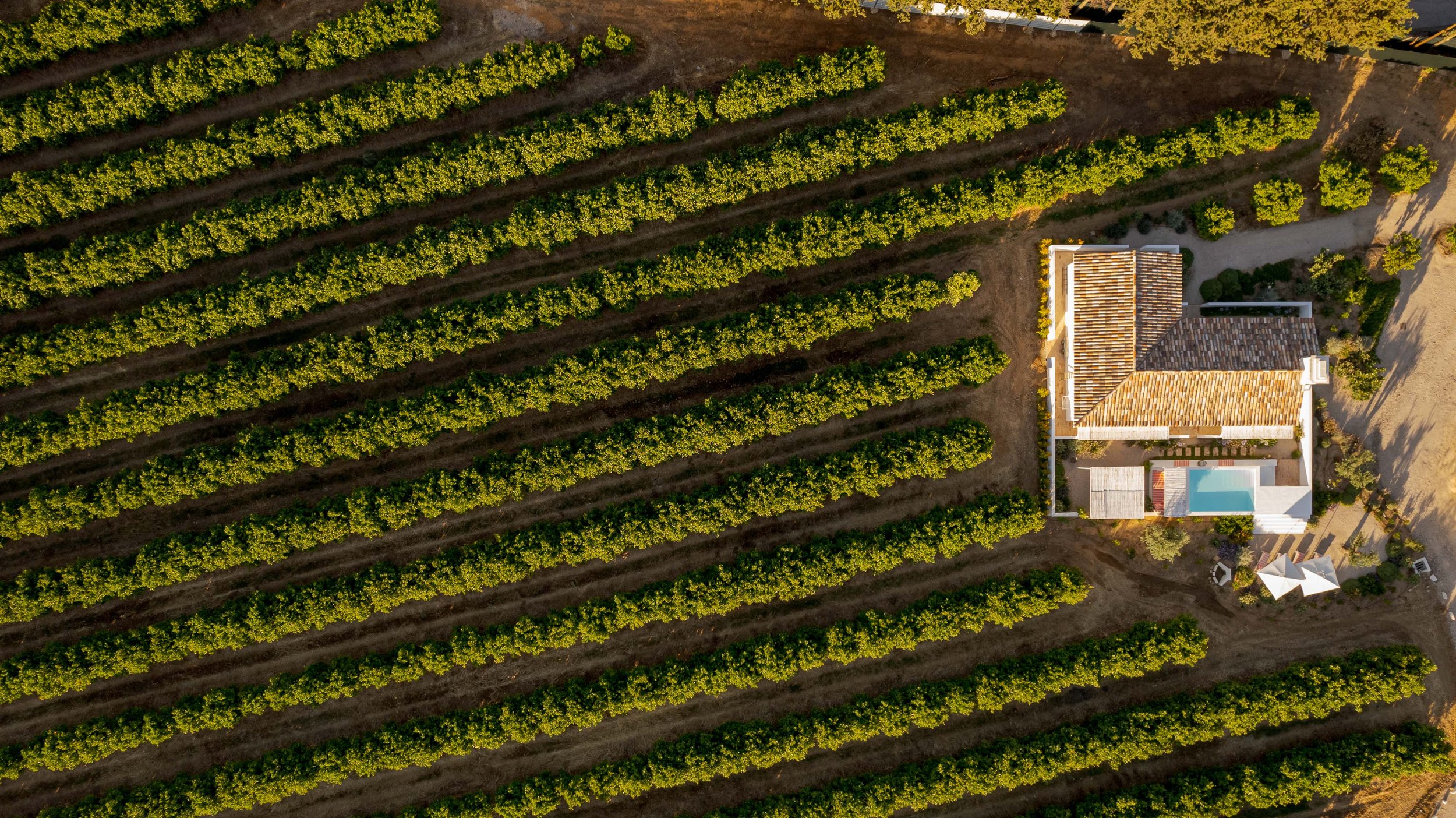 Portugal Hotels | Slow Living | Destination Wedding | Nature Hotels | Eco travel | eco luxury | nature destination | Landscape Hotels | Algarve hotels | Farm Hotels | Casas da Quinta de Cima