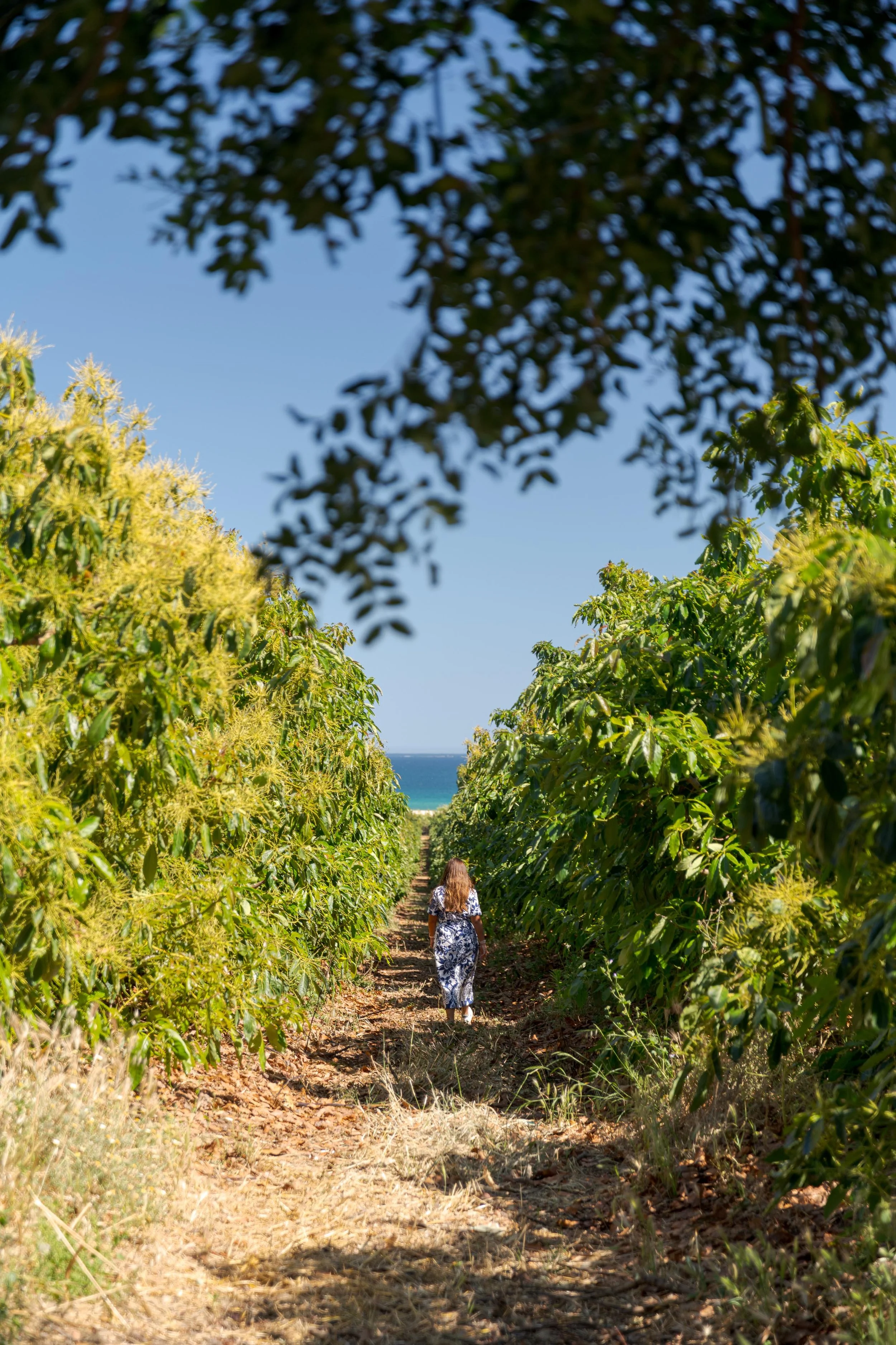 Portugal Hotels | Slow Living | Destination Wedding | Nature Hotels | Eco travel | eco luxury | nature destination | Landscape Hotels | Algarve hotels | Farm Hotels | Casas da Quinta de Cima
